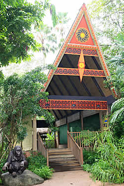 Sumatran Orang Utan exhibit, Singapore Zoo