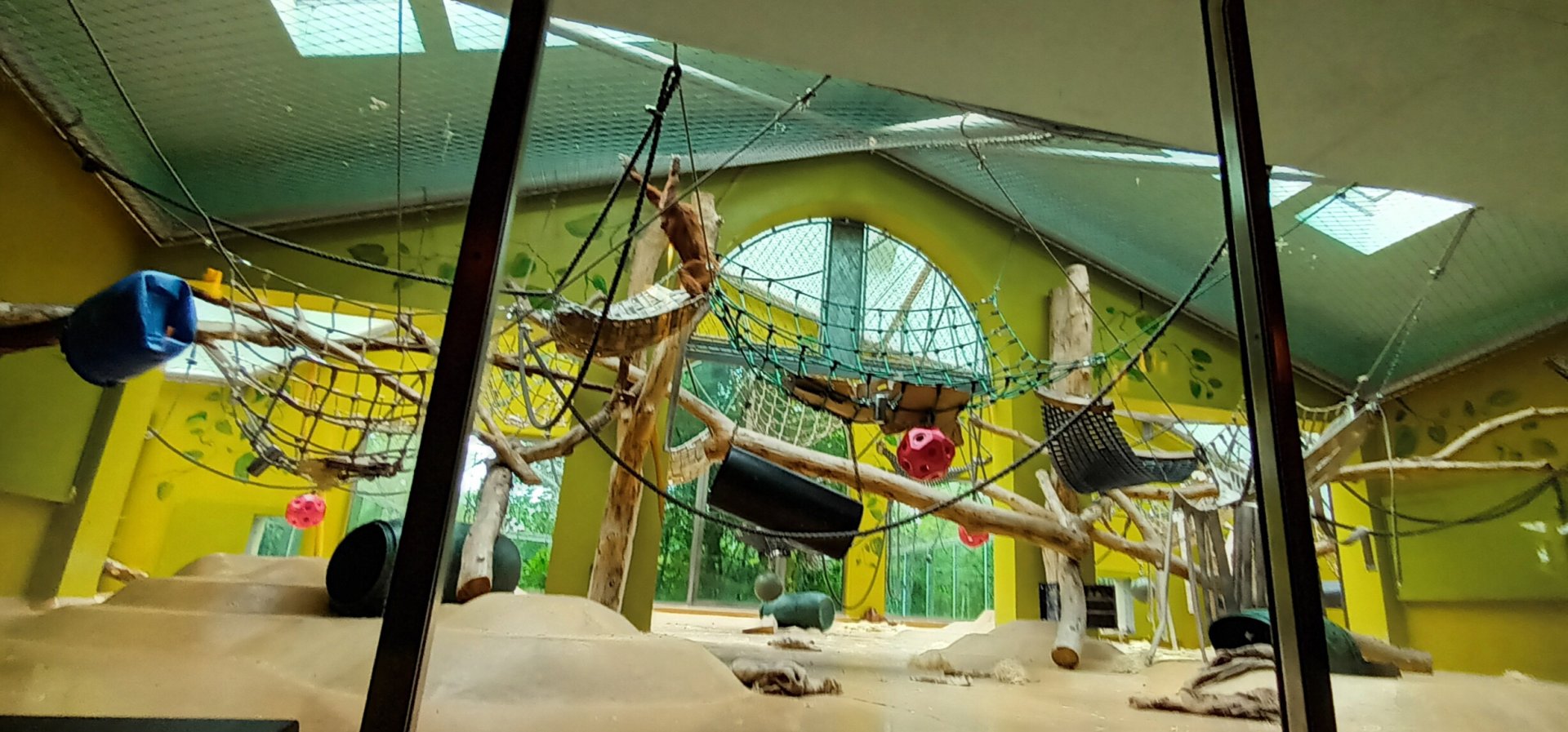 Sumatran Orang Utan indoor Enclosure