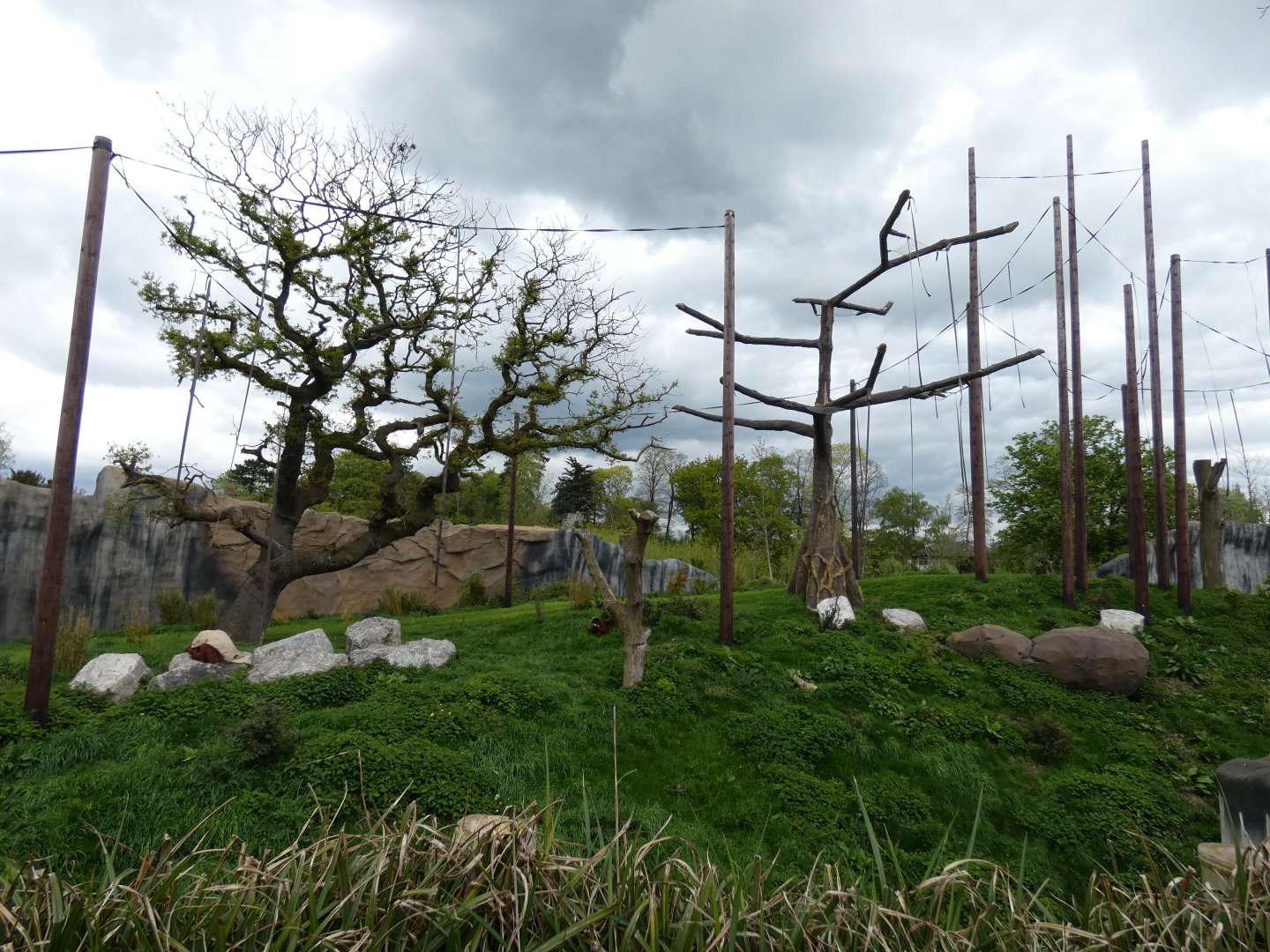 Sumatran Orang-utan Outdoor Enclosure