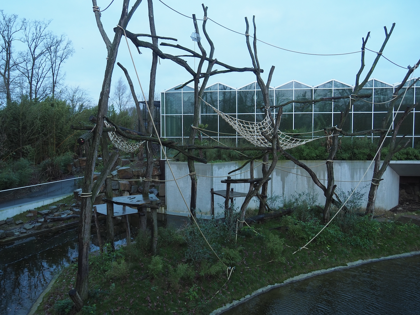 Sumatran orangutan and Asian small-clawed otter island seen from the viewing area on top of the Sulawesi crested macaque house, 2024-01-01