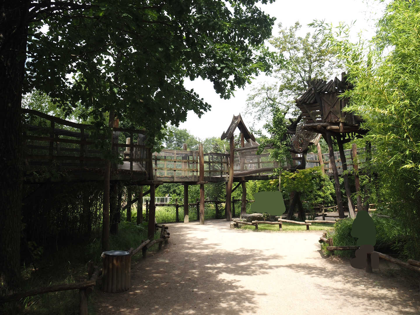 Sumatran orangutan and Hanuman langur canopy trail viewing area, 2024-08-05