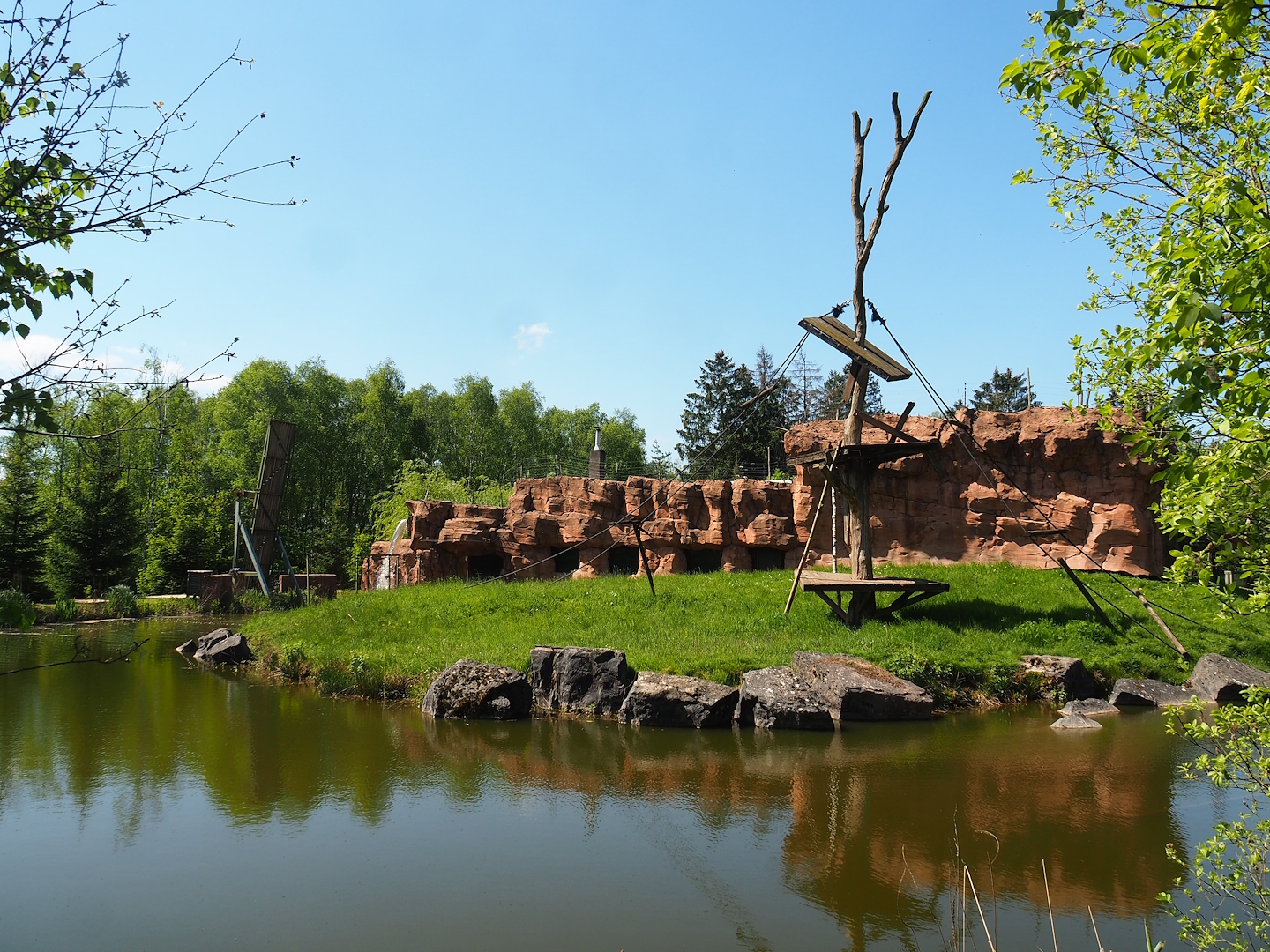 Sumatran orangutan and Lion-tailed macaque building island, 2023-05-19