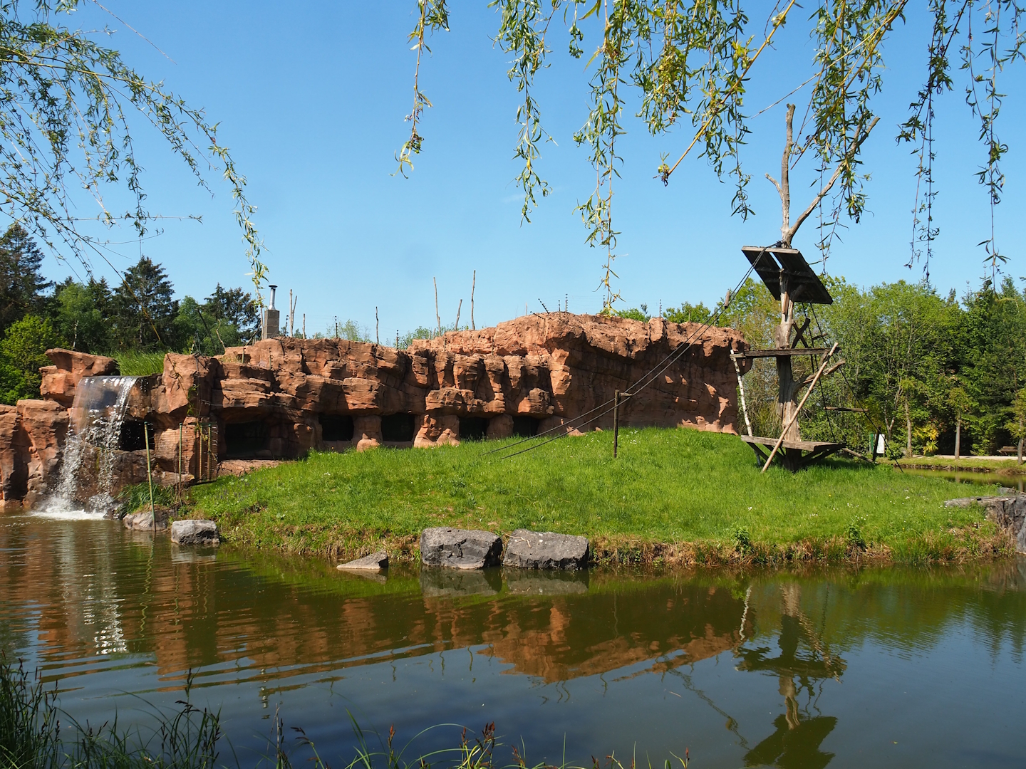 Sumatran orangutan and Lion-tailed macaque building island, 2023-05-19