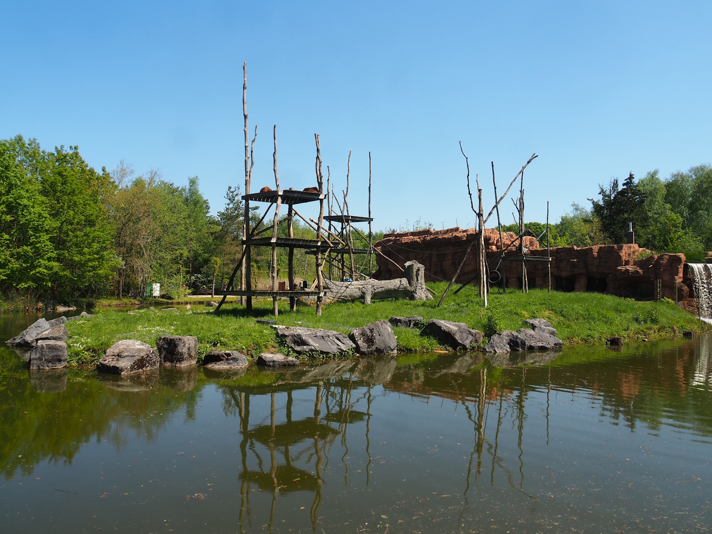 Sumatran orangutan and Lion-tailed macaque building island, 2023-05-19