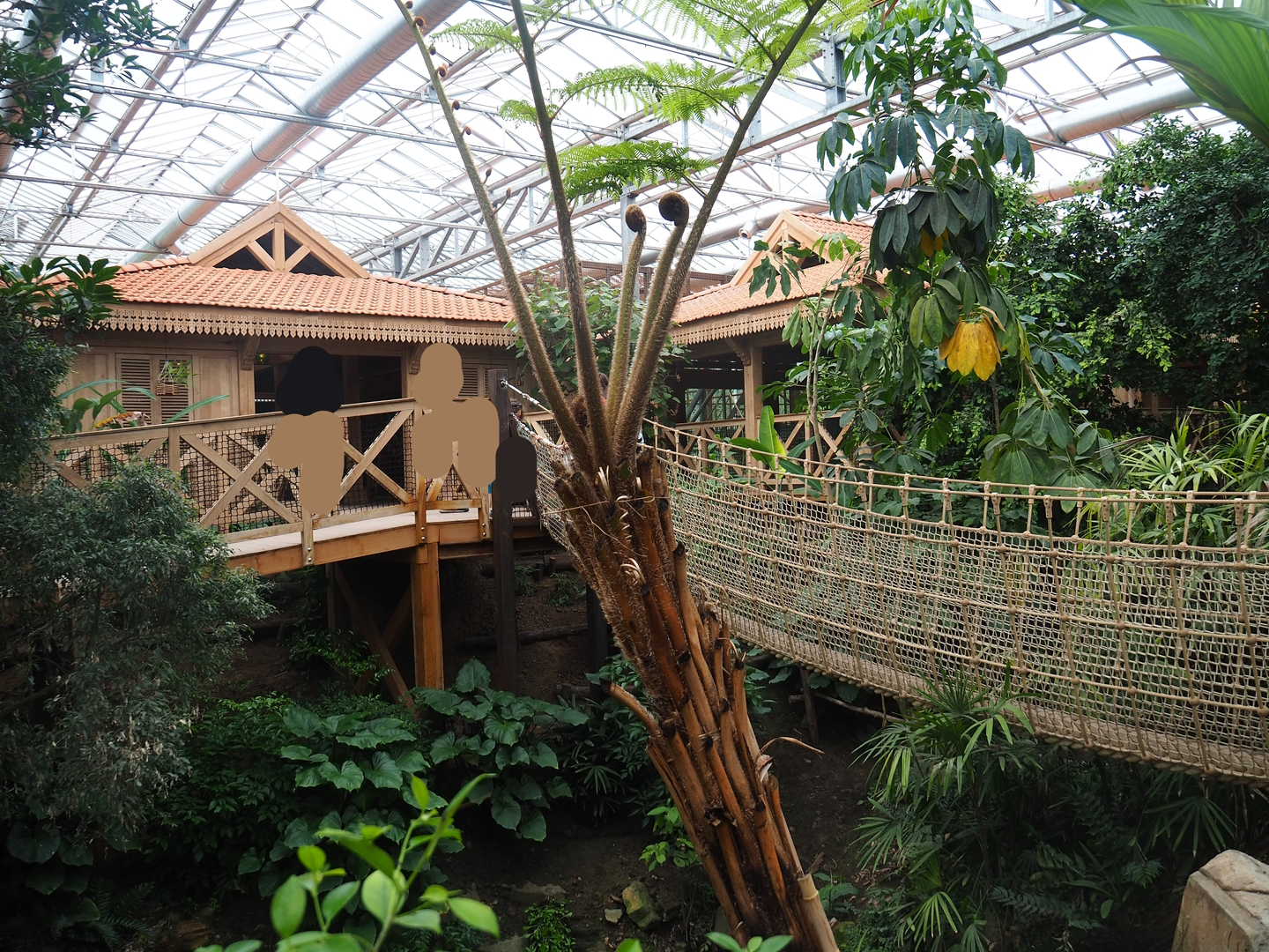 Sumatran orangutan and Northern white-cheeked gibbon viewing lodges,  2022-07-16