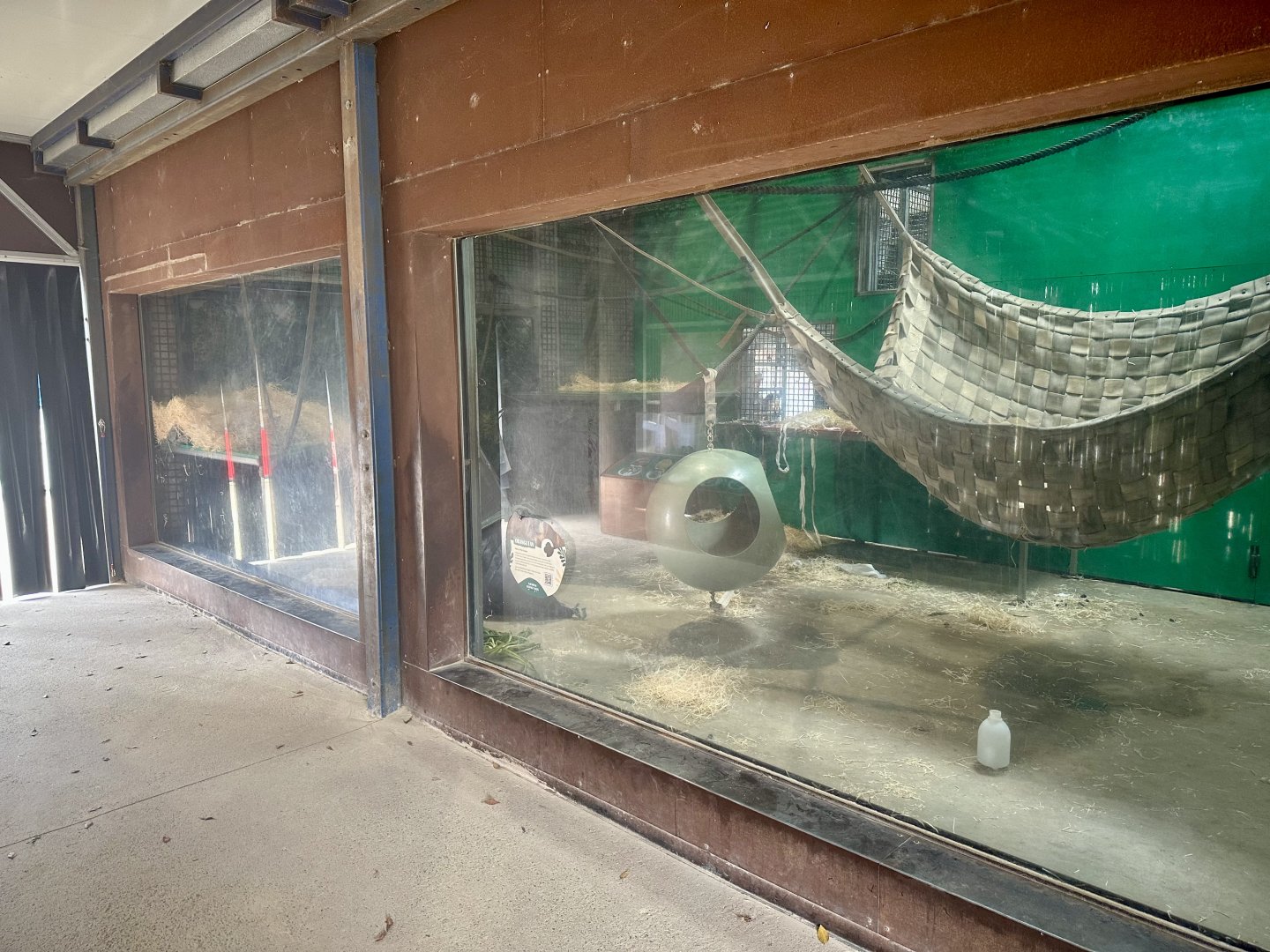 Sumatran Orangutan Day Room