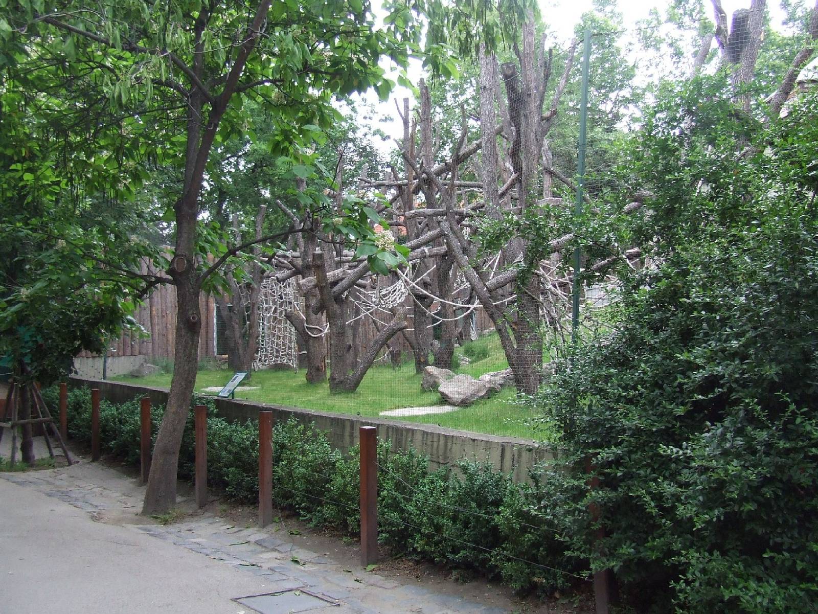 Sumatran orangutan enclosure @ Budapest Zoo