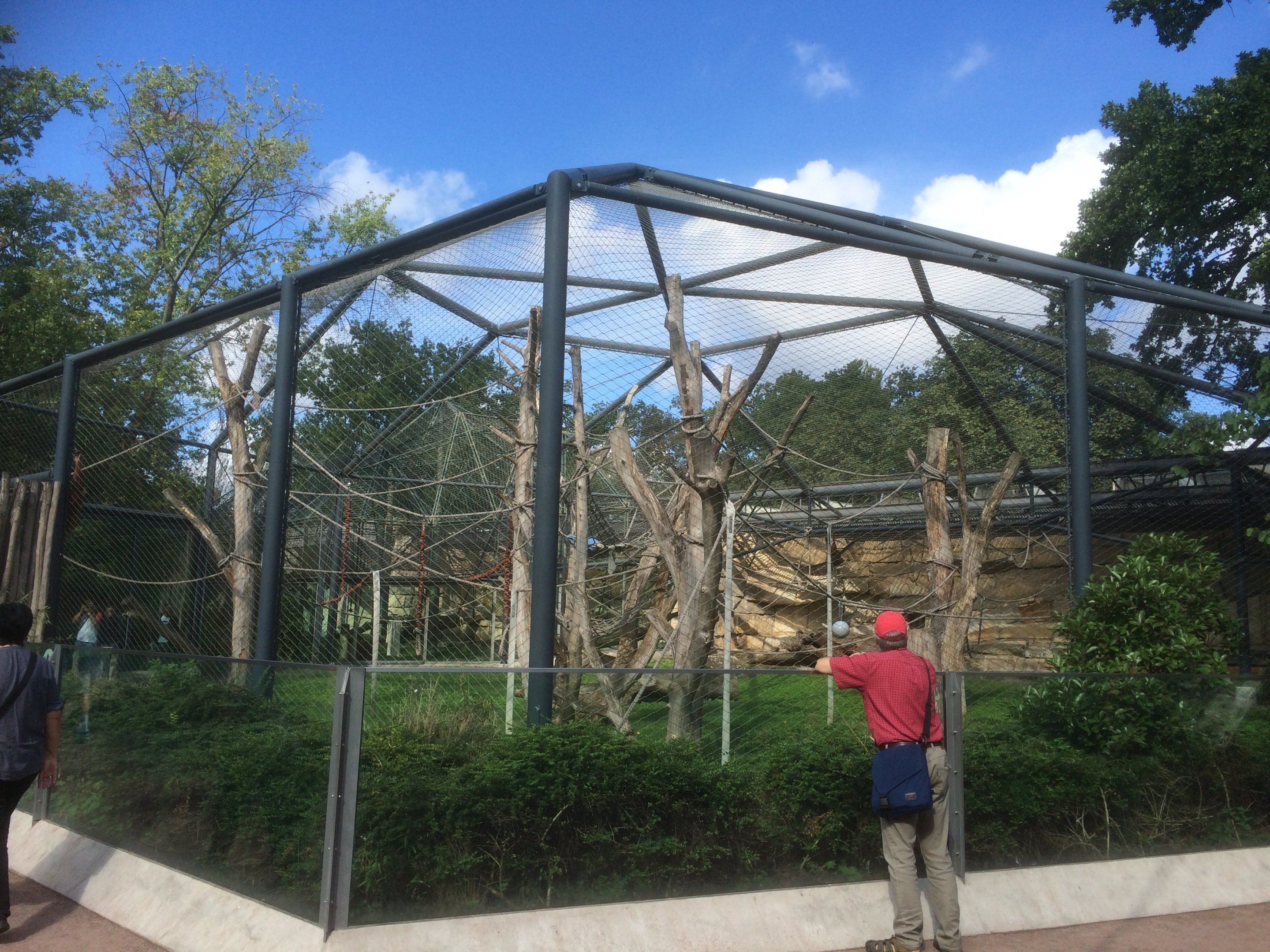 Sumatran orangutan enclosure
