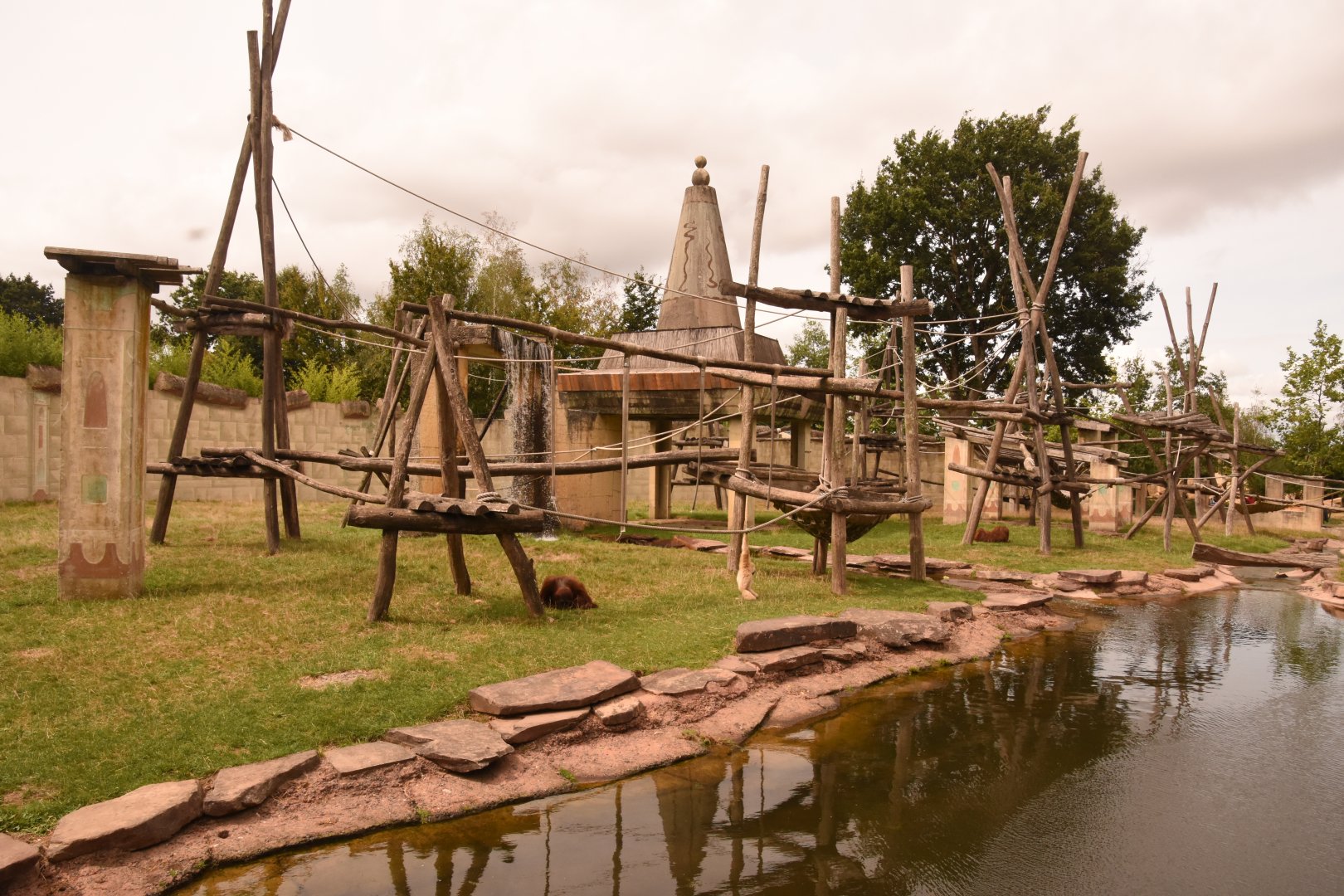 Sumatran Orangutan enclosure