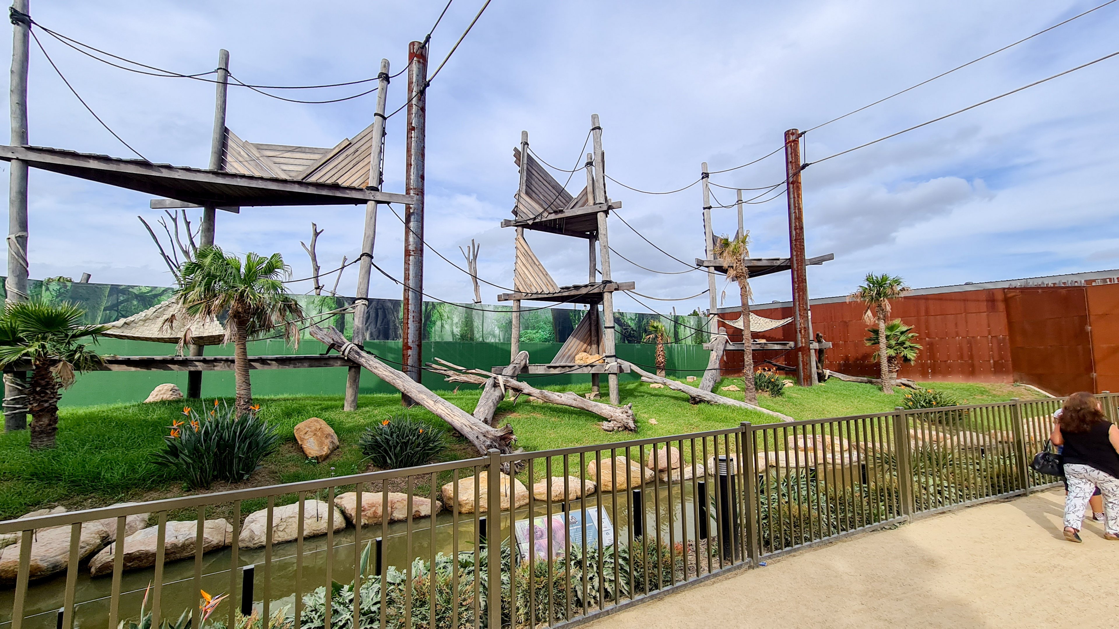 Sumatran orangutan enclosure