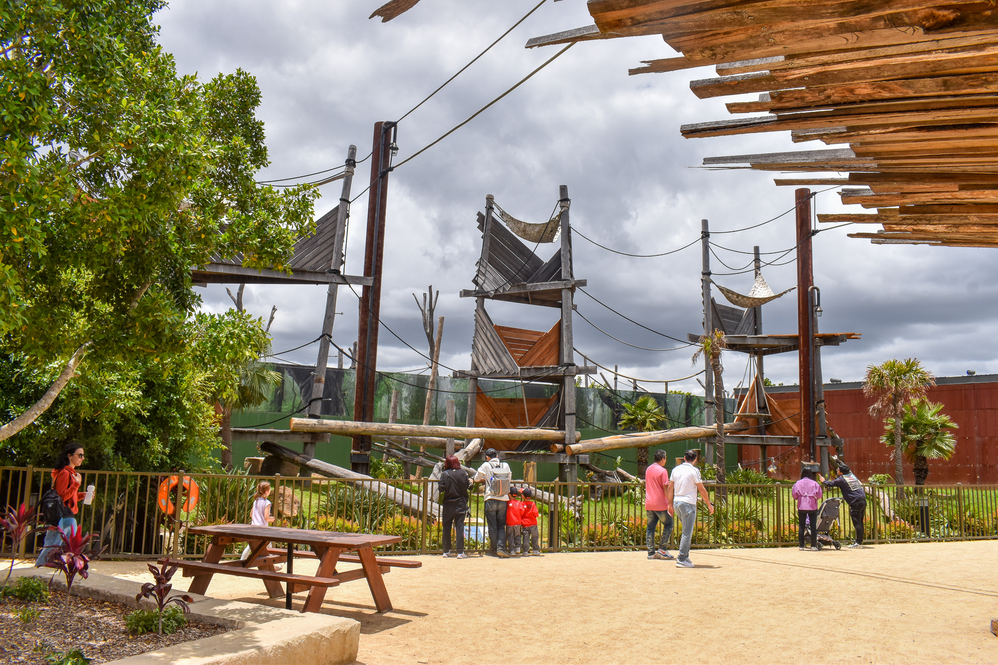 Sumatran Orangutan Enclosure