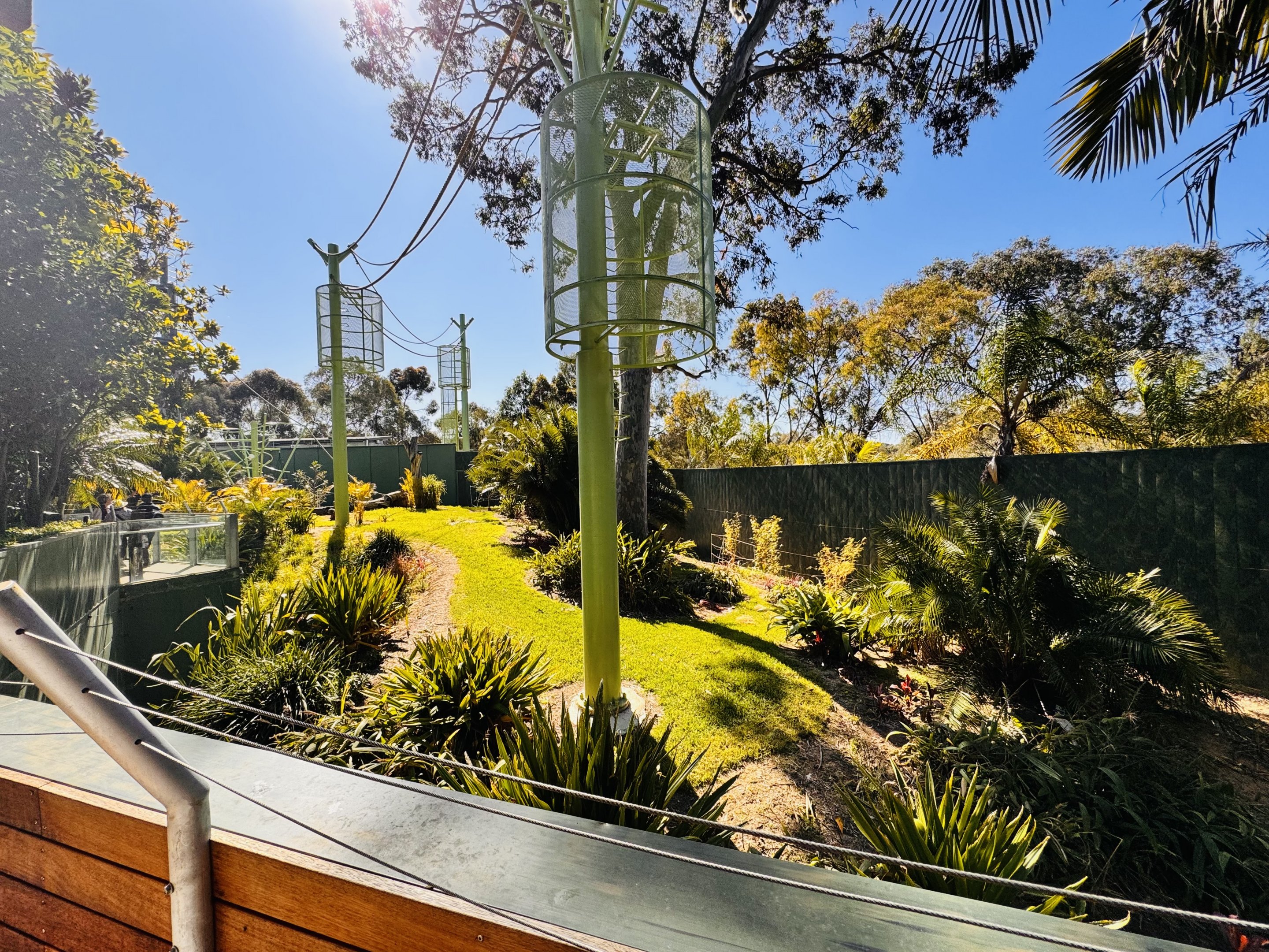 Sumatran orangutan enclosure