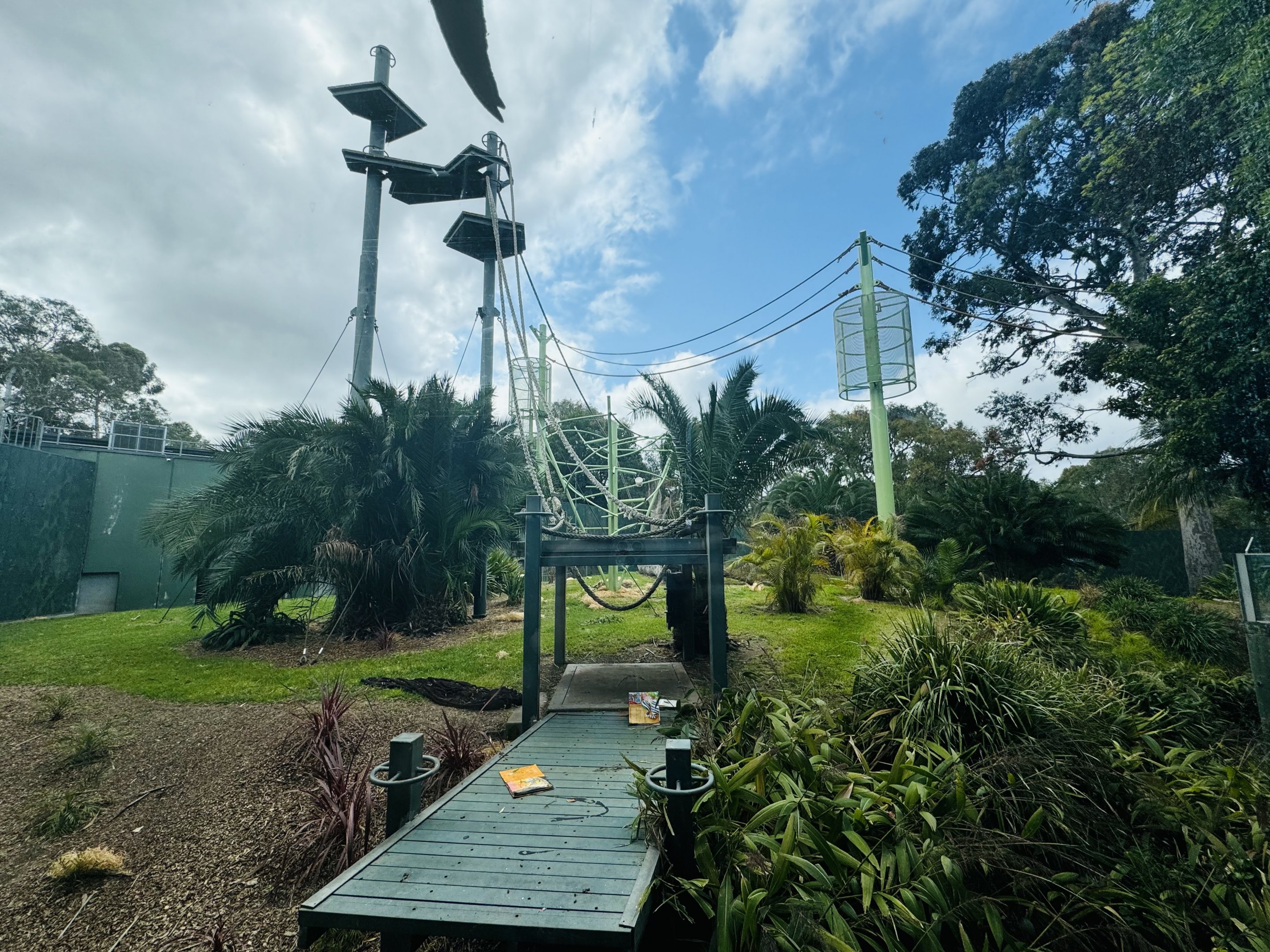 Sumatran orangutan enclosure
