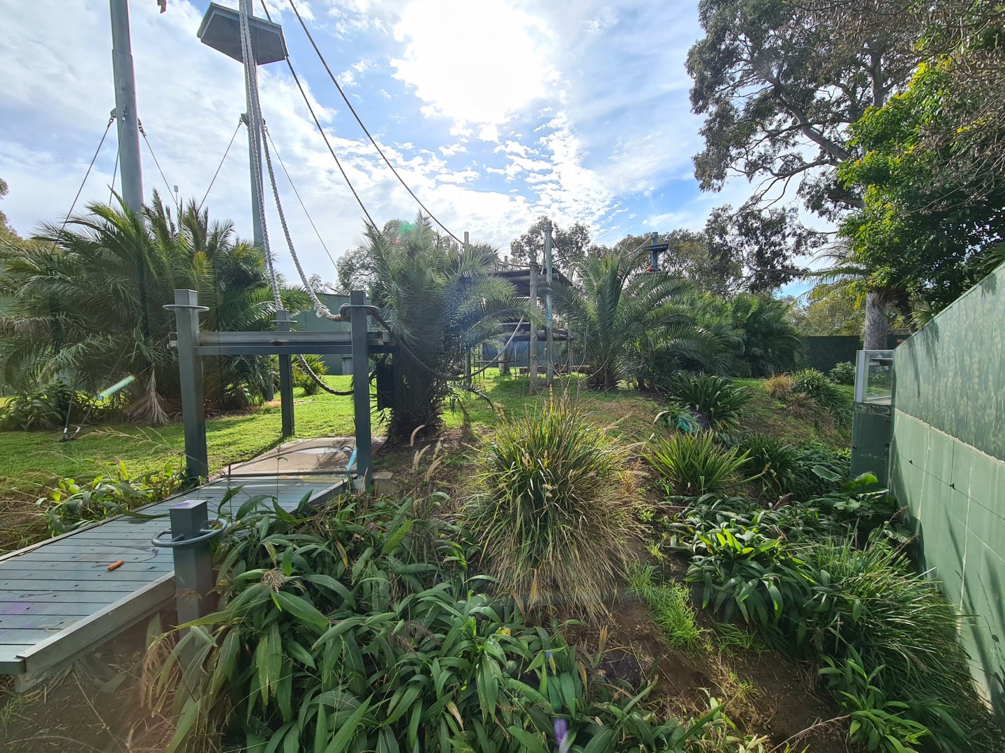 Sumatran Orangutan exhibit at Adelaide Zoo