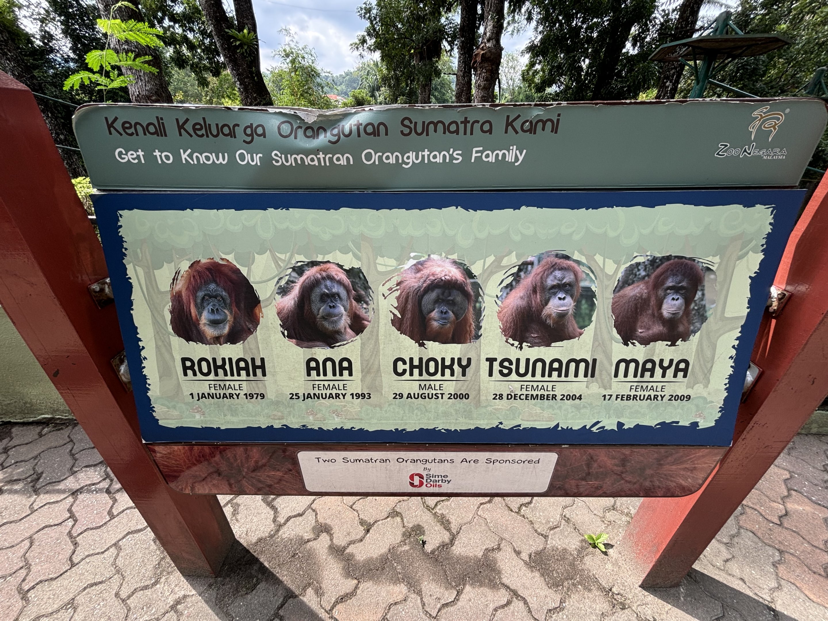 Sumatran Orangutan Exhibit Sign