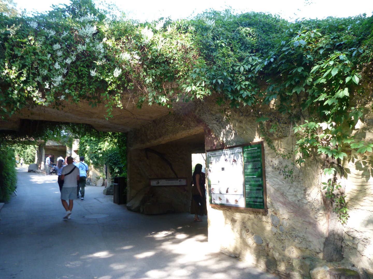 Sumatran orangutan exhibit viewing area -Zoo Praha (2025)