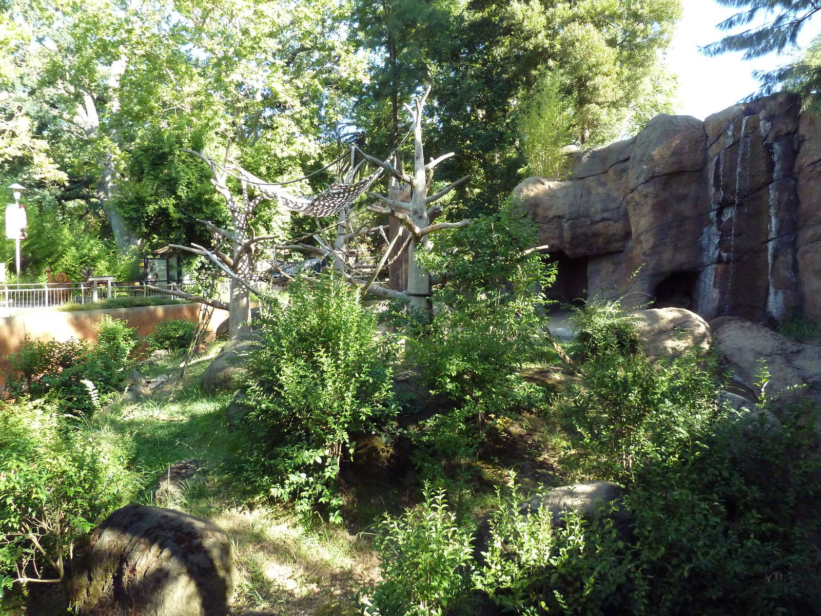 Sumatran Orangutan Exhibit