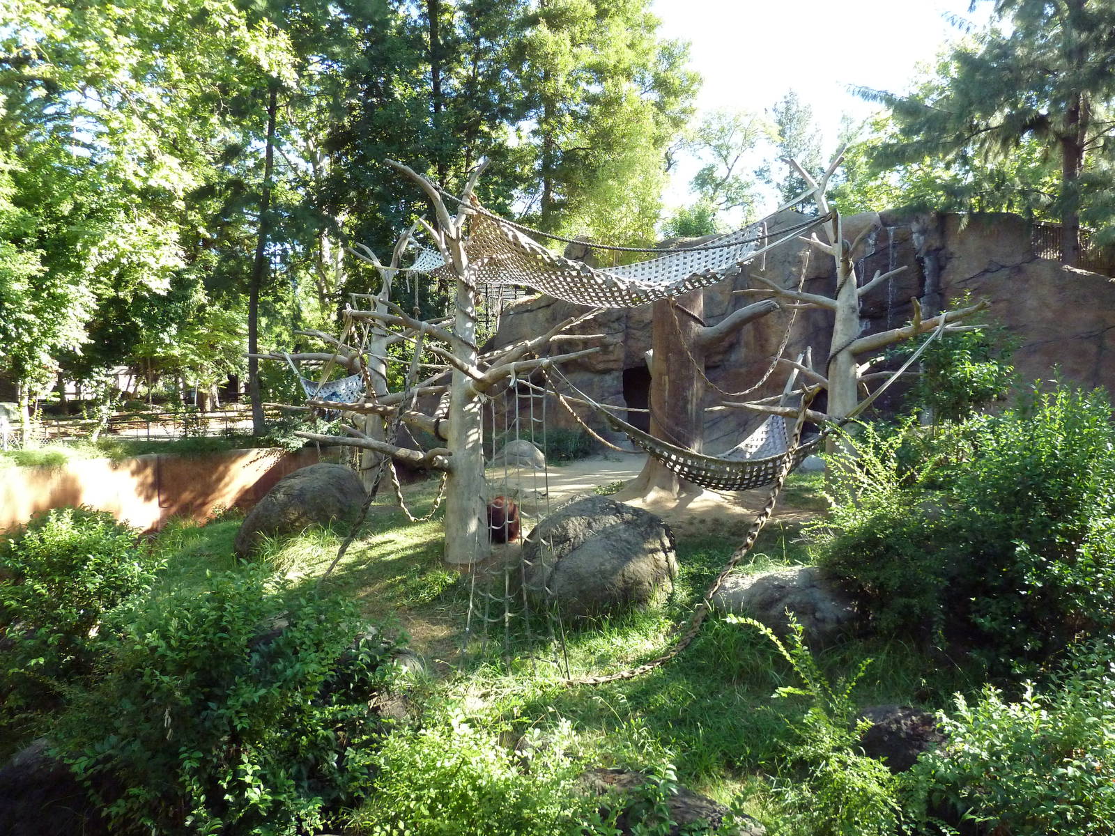 Sumatran Orangutan Exhibit