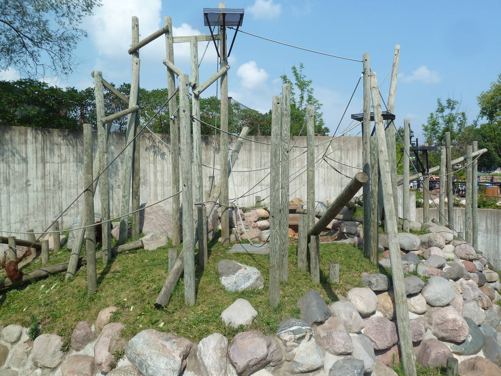 Sumatran Orangutan Exhibit
