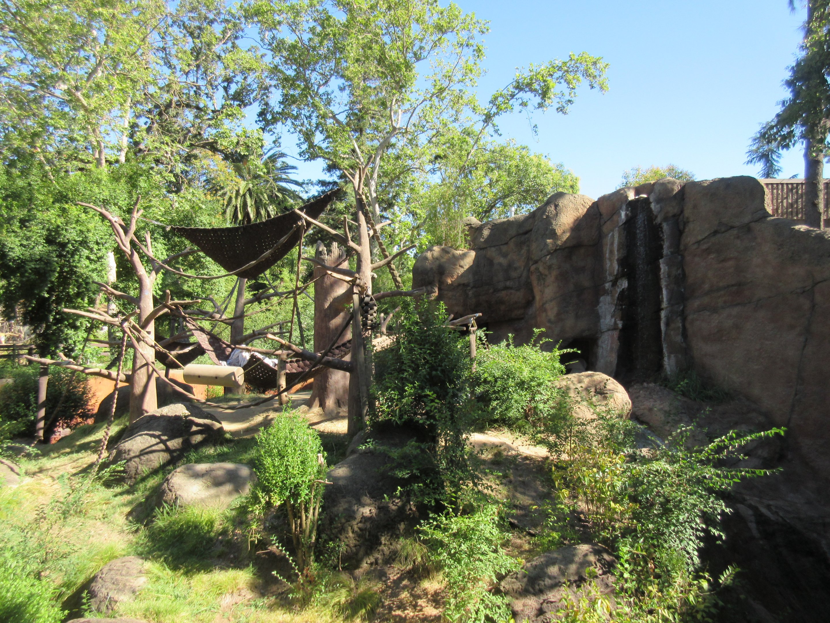 Sumatran Orangutan Exhibit