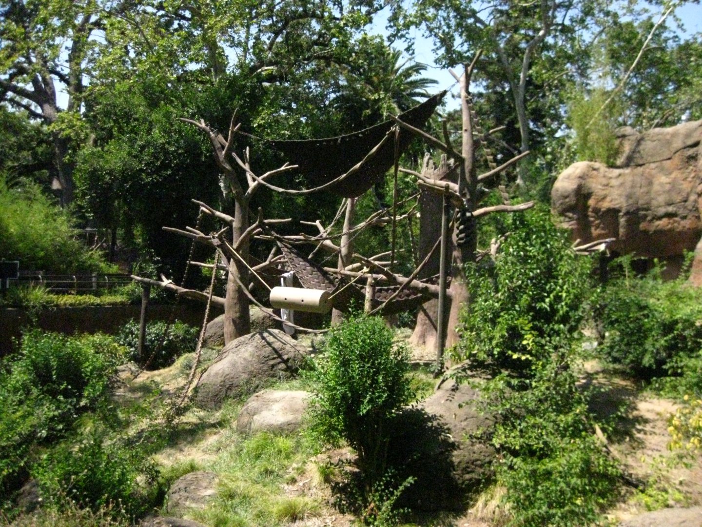 Sumatran Orangutan Exhibit