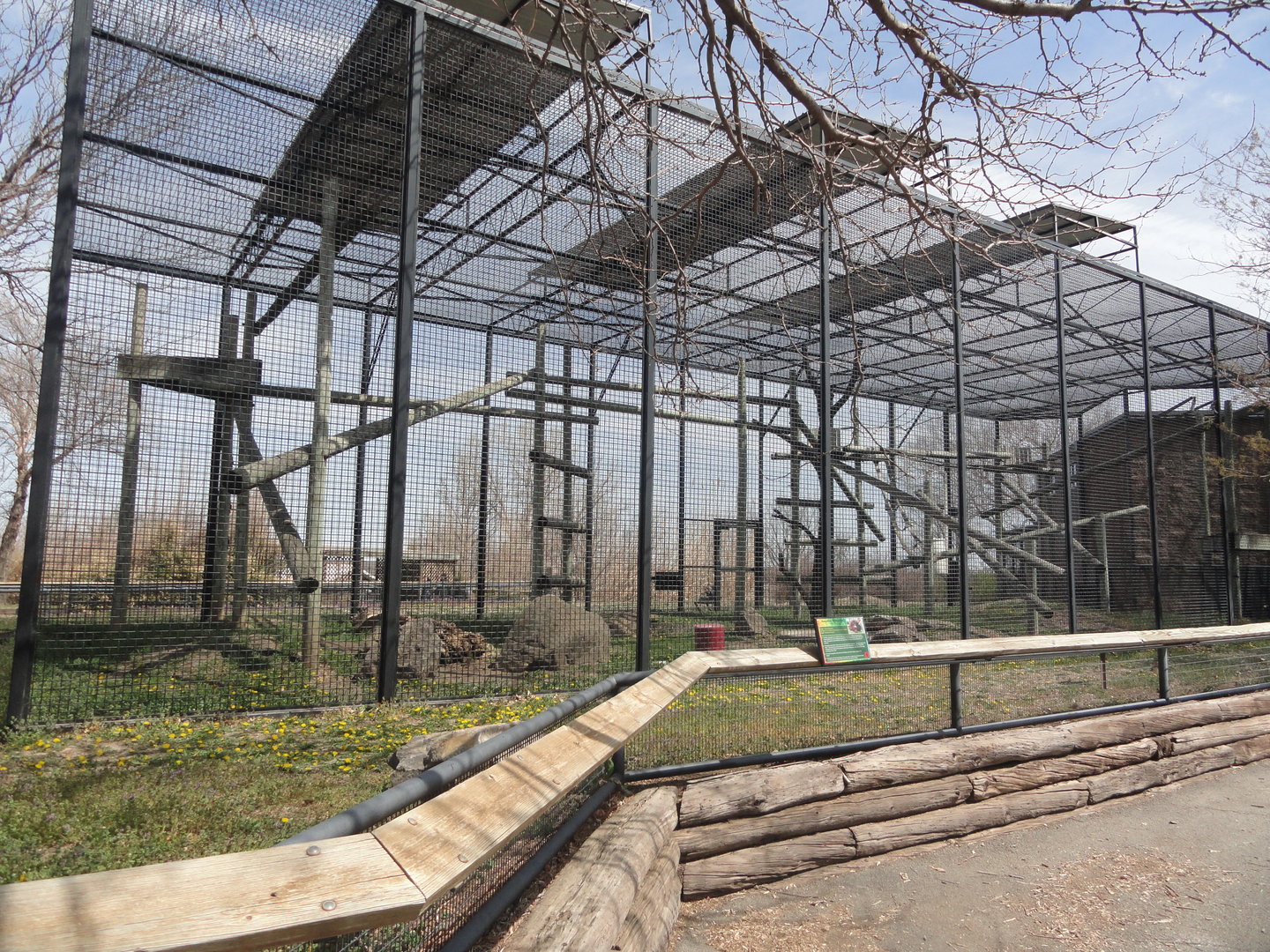 Sumatran Orangutan Exhibit
