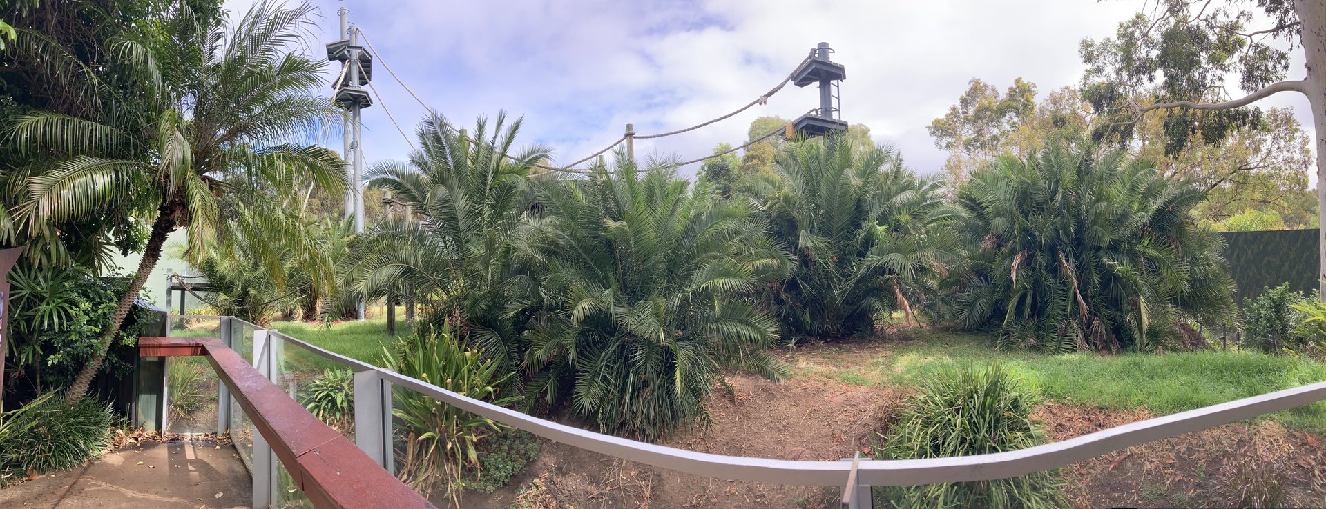 Sumatran orangutan exhibit