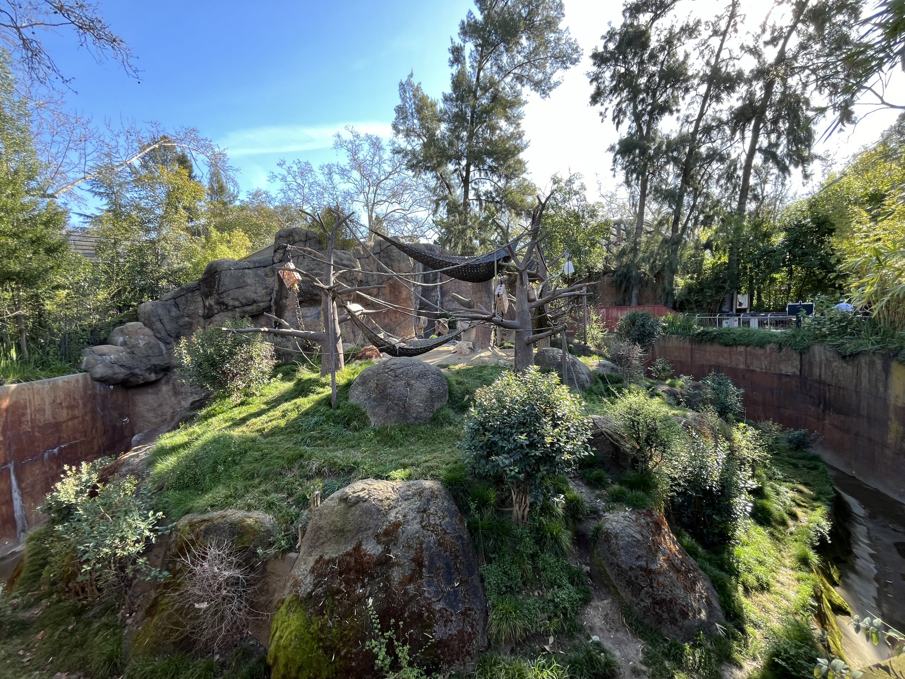 Sumatran Orangutan Exhibit