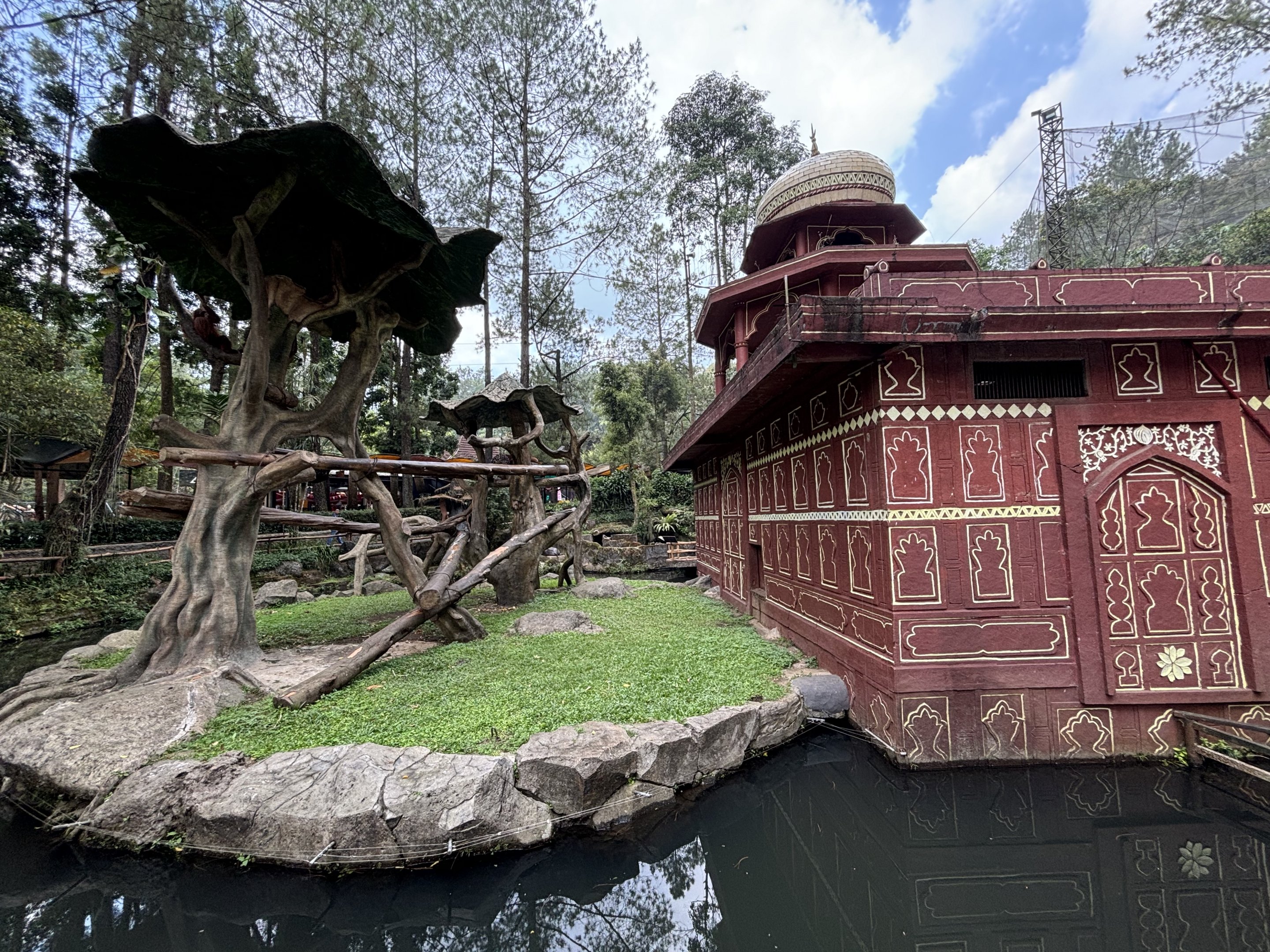 Sumatran Orangutan Exhibit