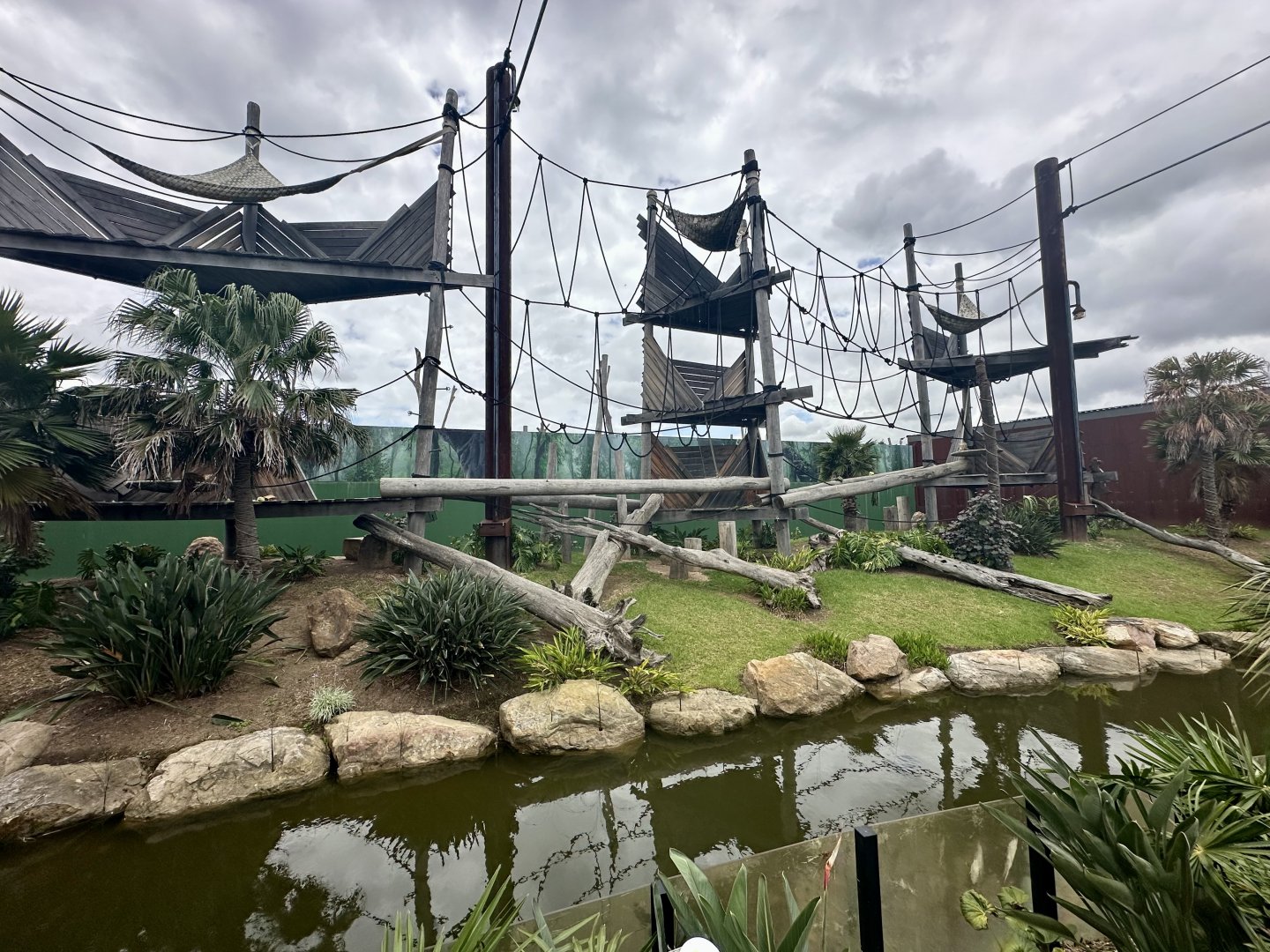 Sumatran Orangutan Exhibit