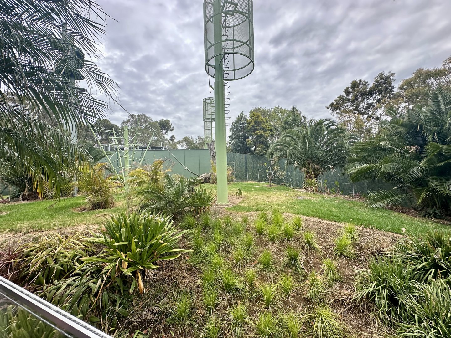 Sumatran Orangutan Exhibit