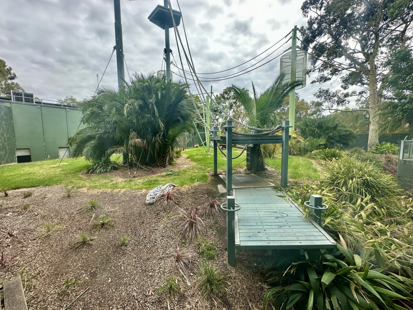 Sumatran Orangutan Exhibit