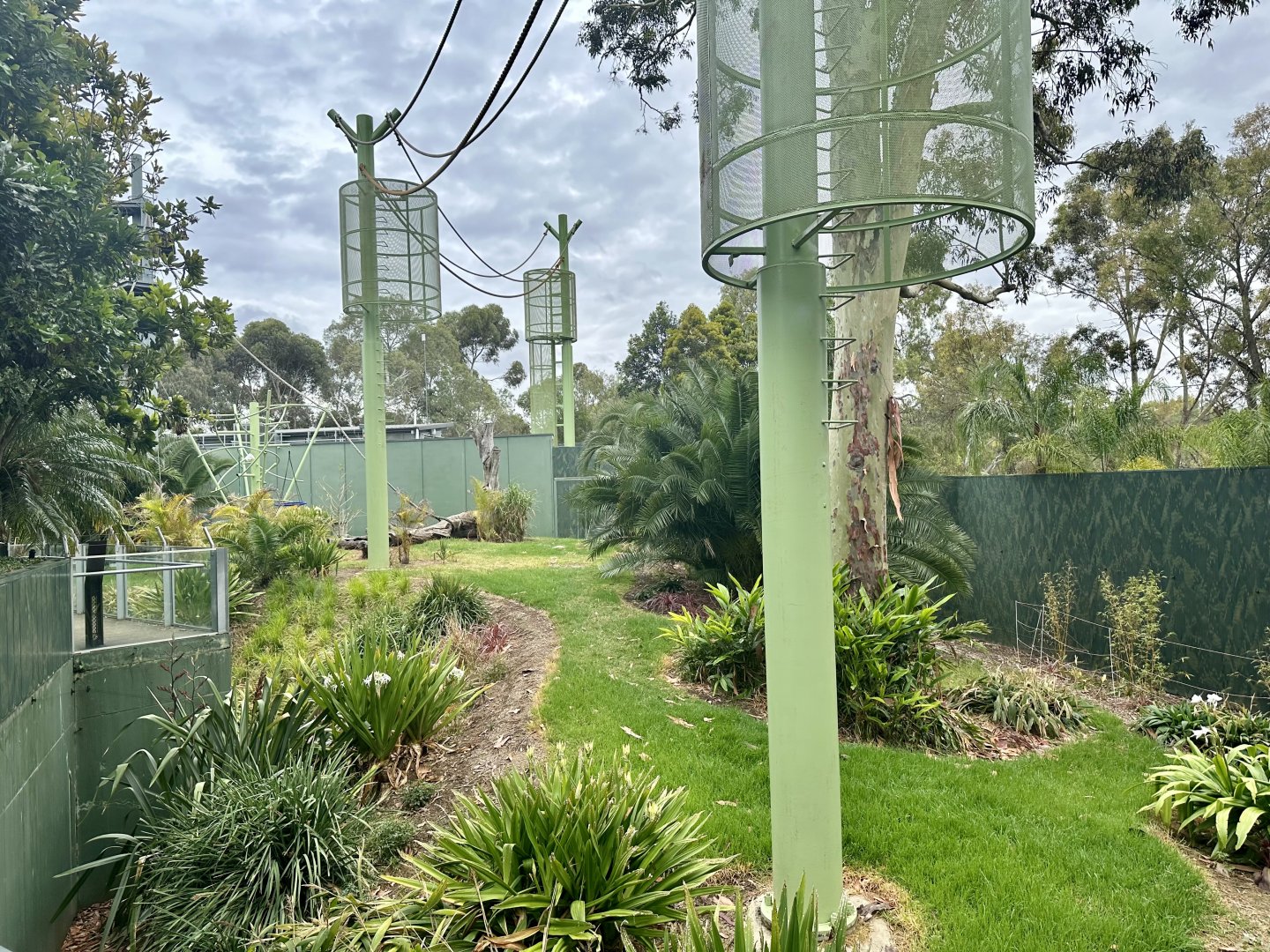 Sumatran Orangutan Exhibit