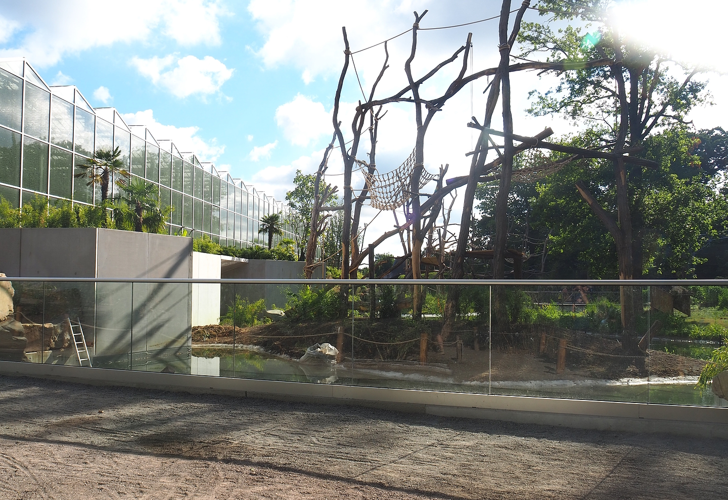 Sumatran orangutan family group and White-cheeked gibbon island, 2022-07-16