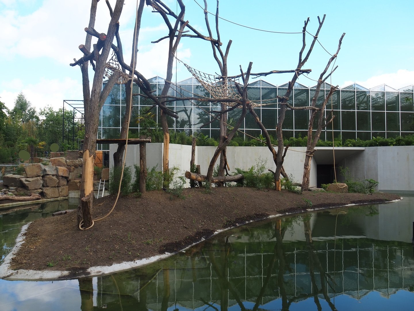 Sumatran orangutan family group and White-cheeked gibbon island, 2022-07-16