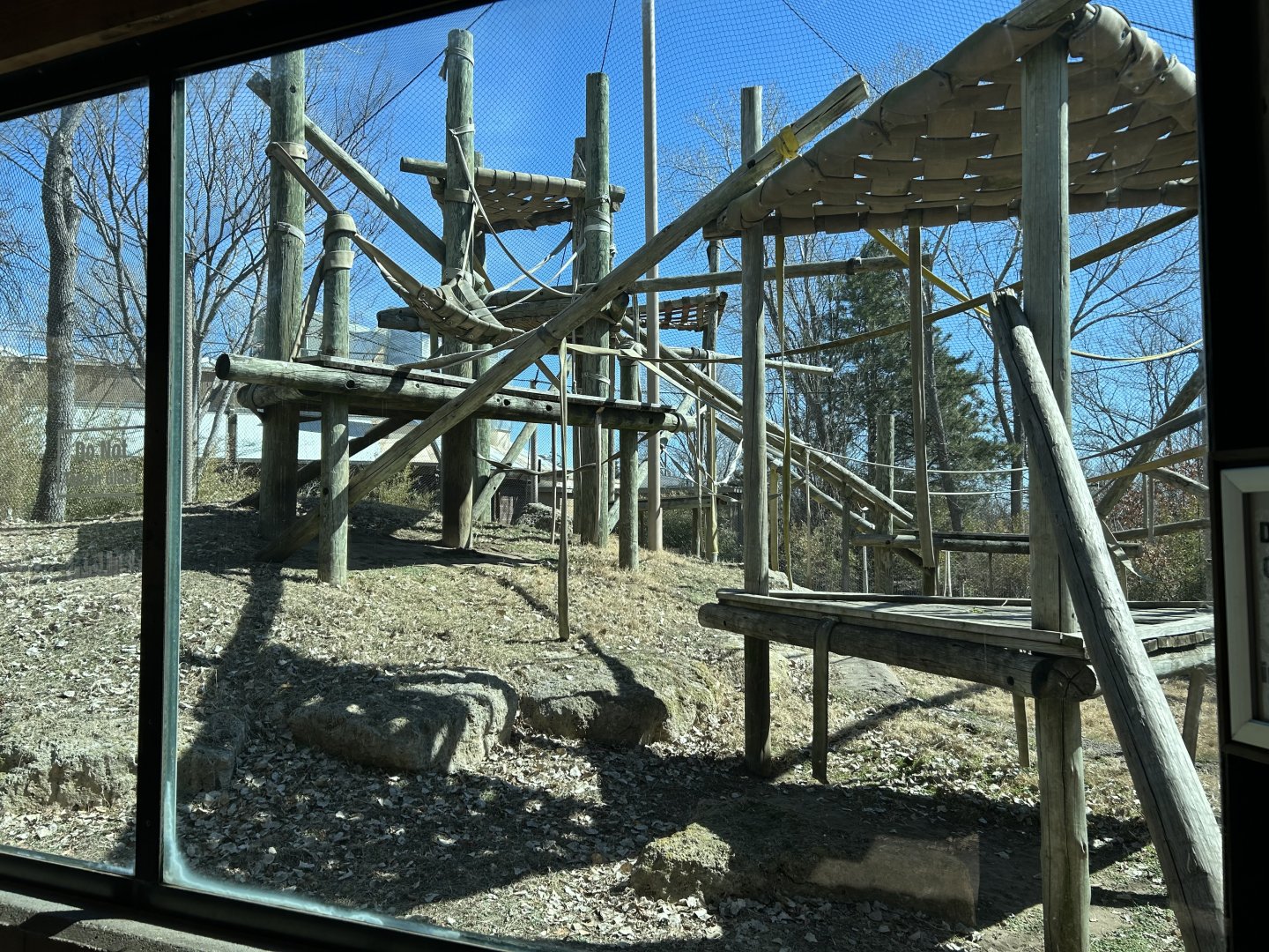 Sumatran Orangutan Habitat