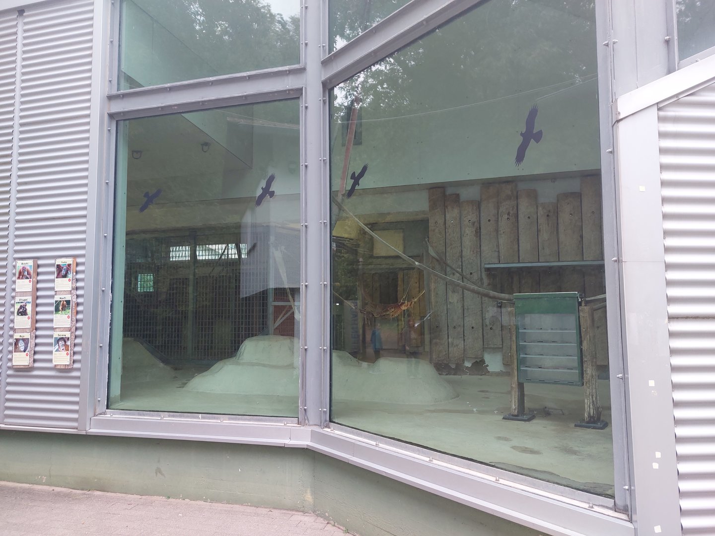 Sumatran orangutan indoor enclosure