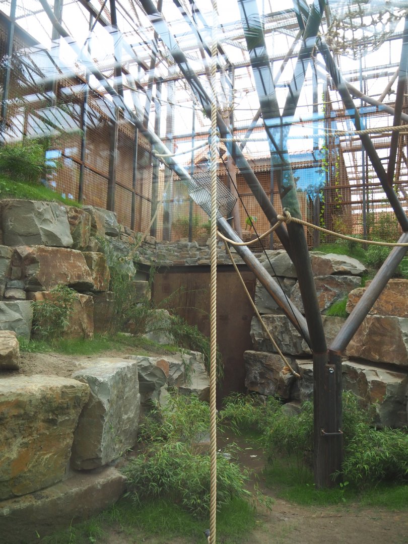 Sumatran orangutan indoor exhibit, 2022-07-03