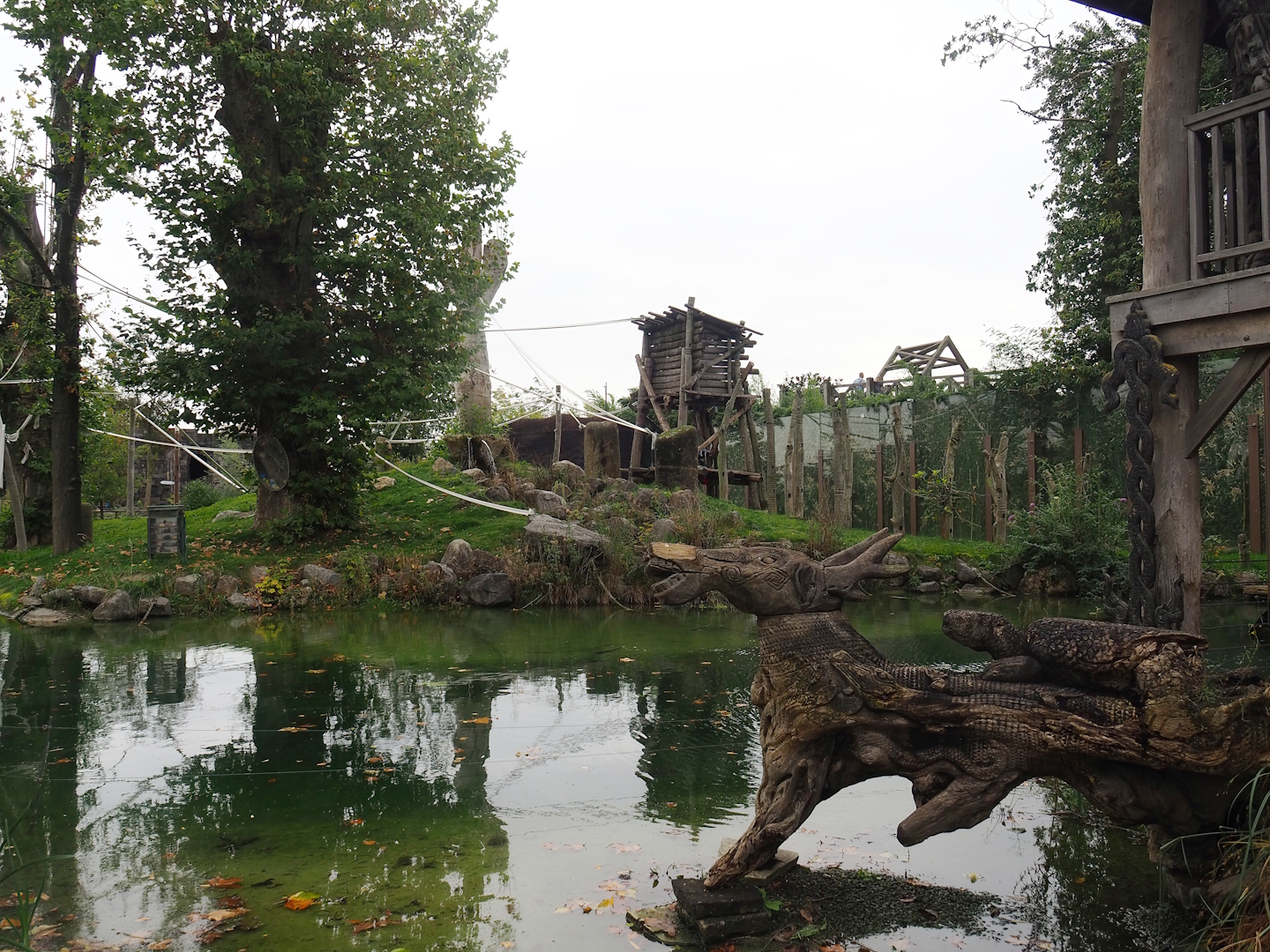 Sumatran orangutan island, 2023-10-13