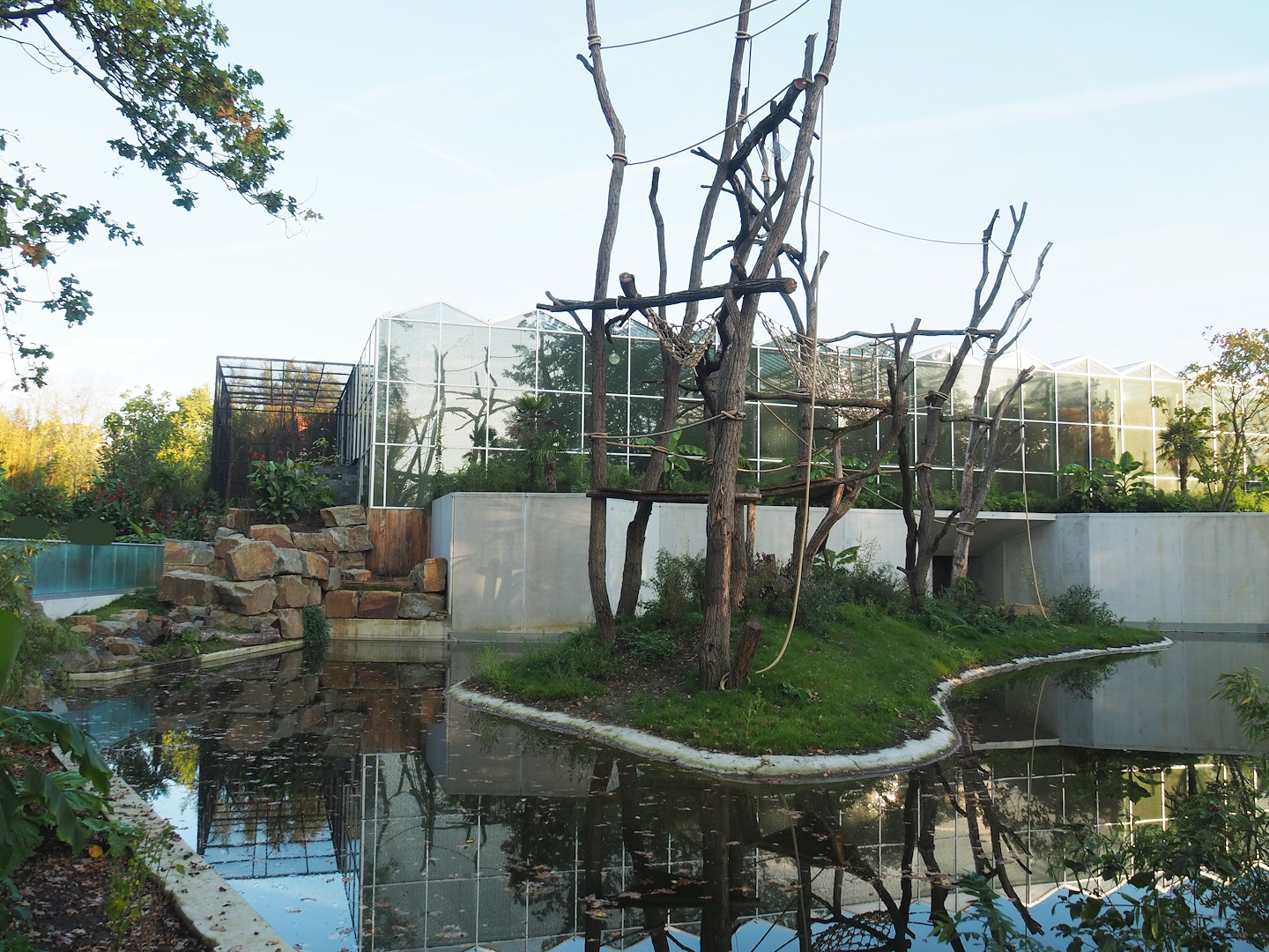 Sumatran orangutan island and Asian small-clawed otter land area, 2022-10-19