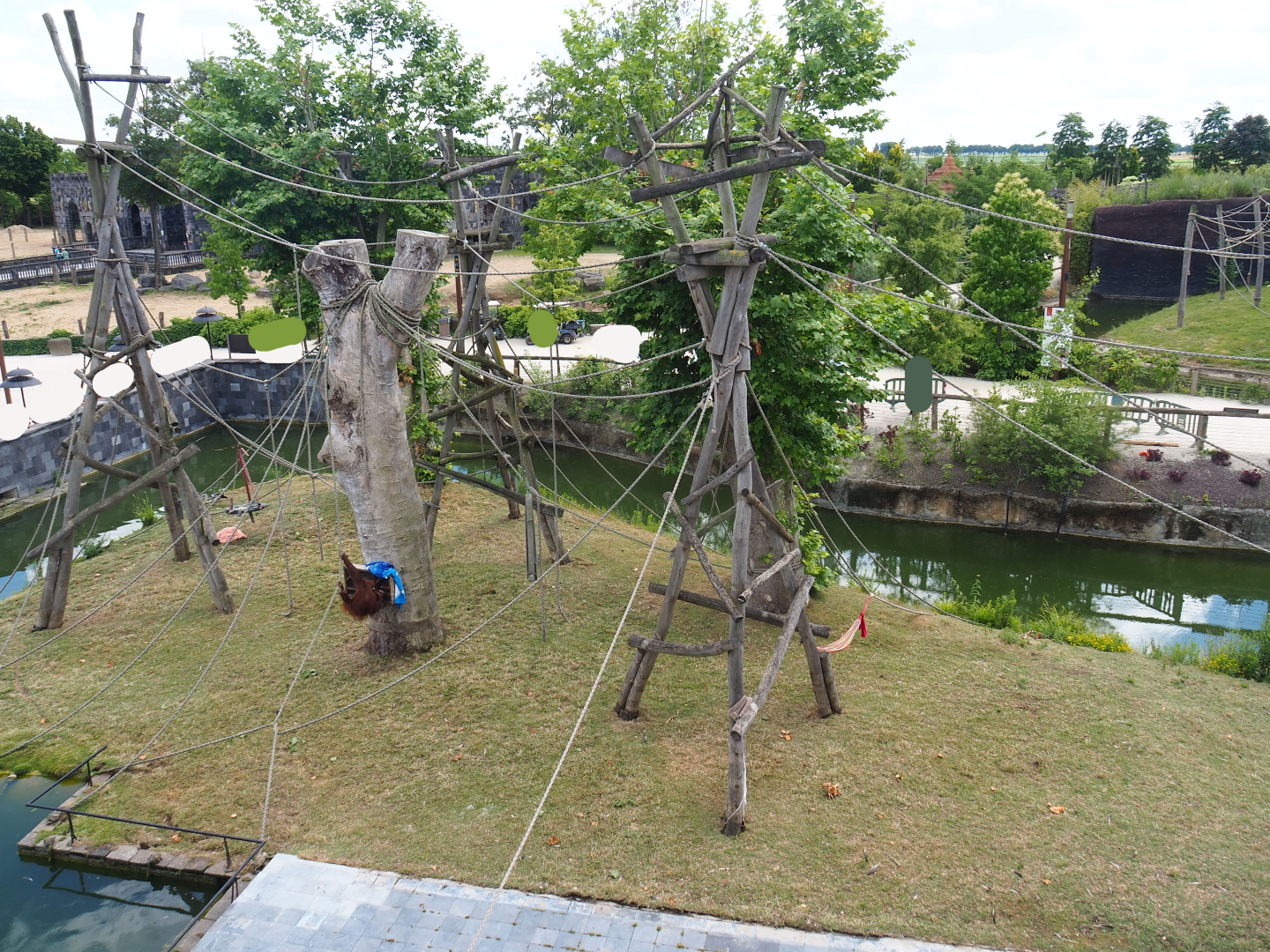 Sumatran orangutan island seen from the top of the Flower Temple, 2022-06-28