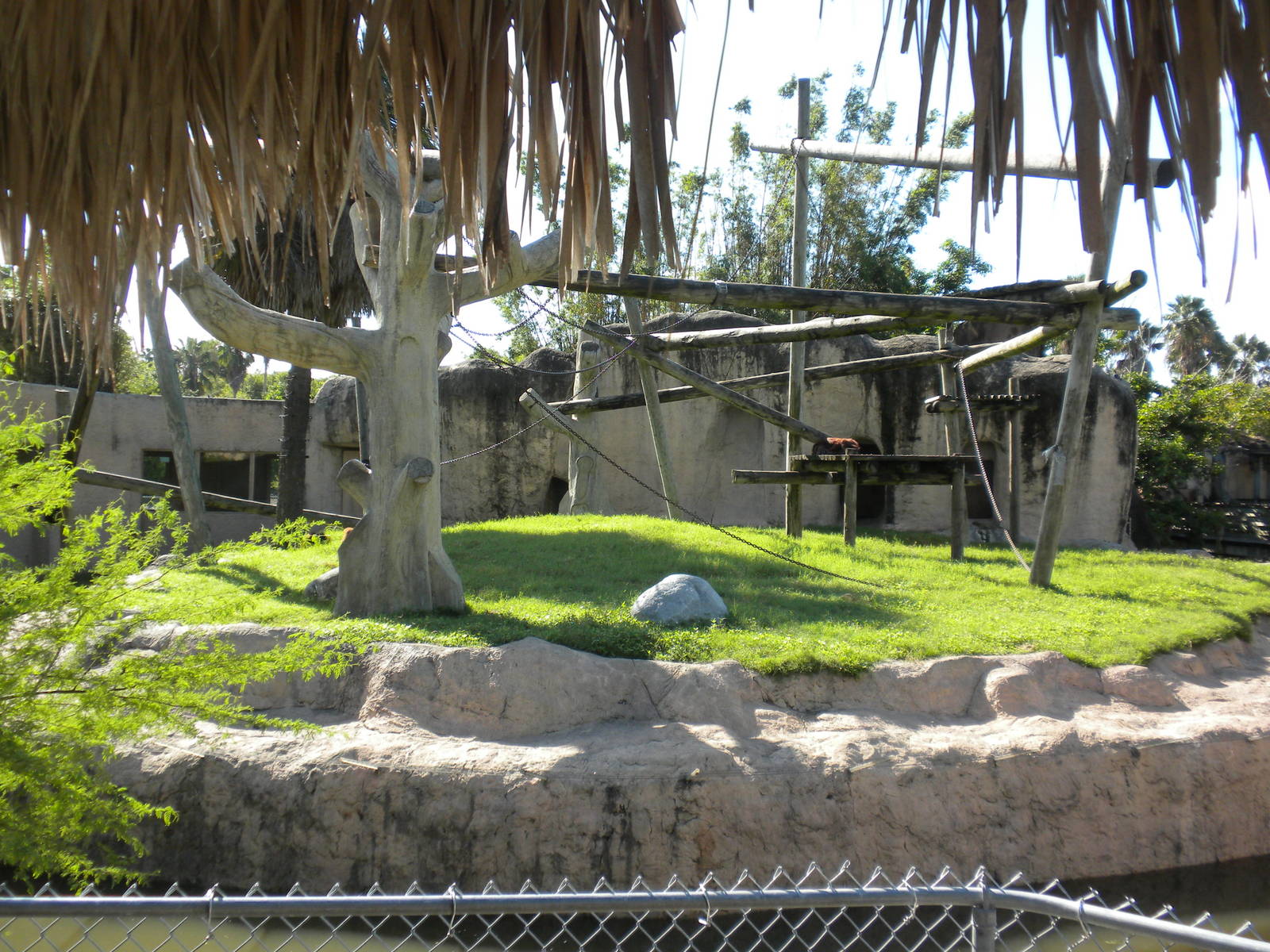 Sumatran Orangutan Island