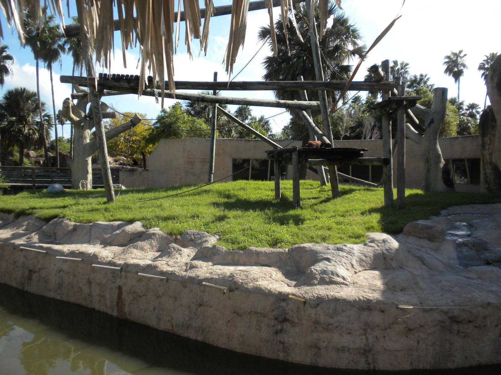 Sumatran Orangutan Island