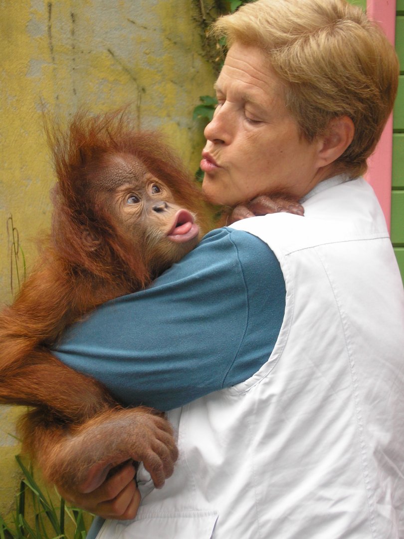 Sumatran orangutan "Juliana" with keeper -Zoo Santillana del Mar (2007)