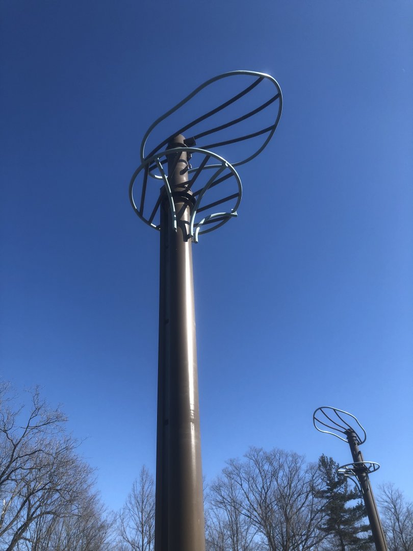 Sumatran Orangutan O-line pole