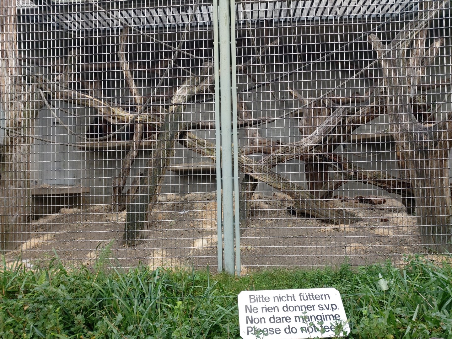 Sumatran orangutan outdated cage