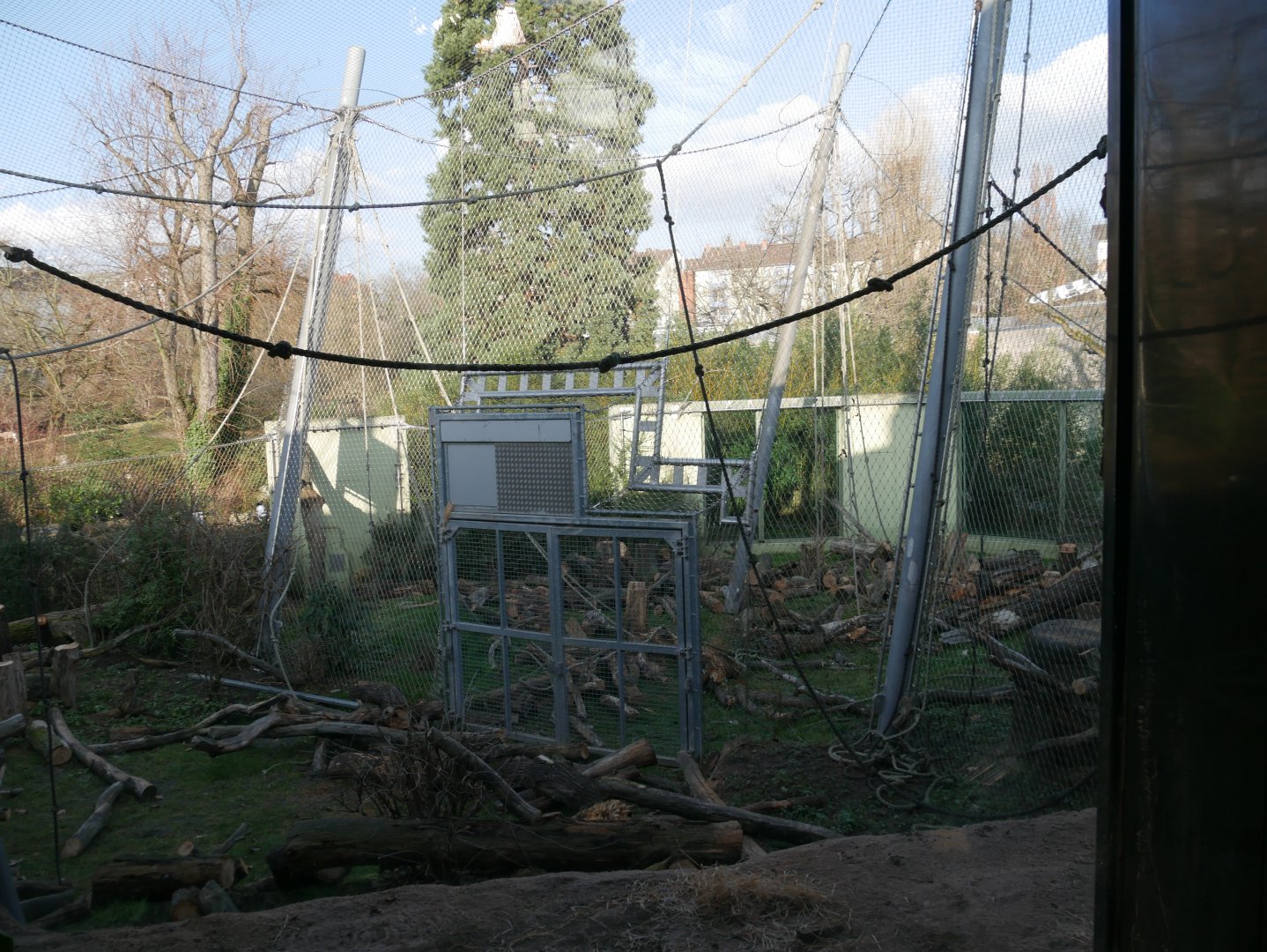 Sumatran orangutan outdoor aviaries (January 2019)