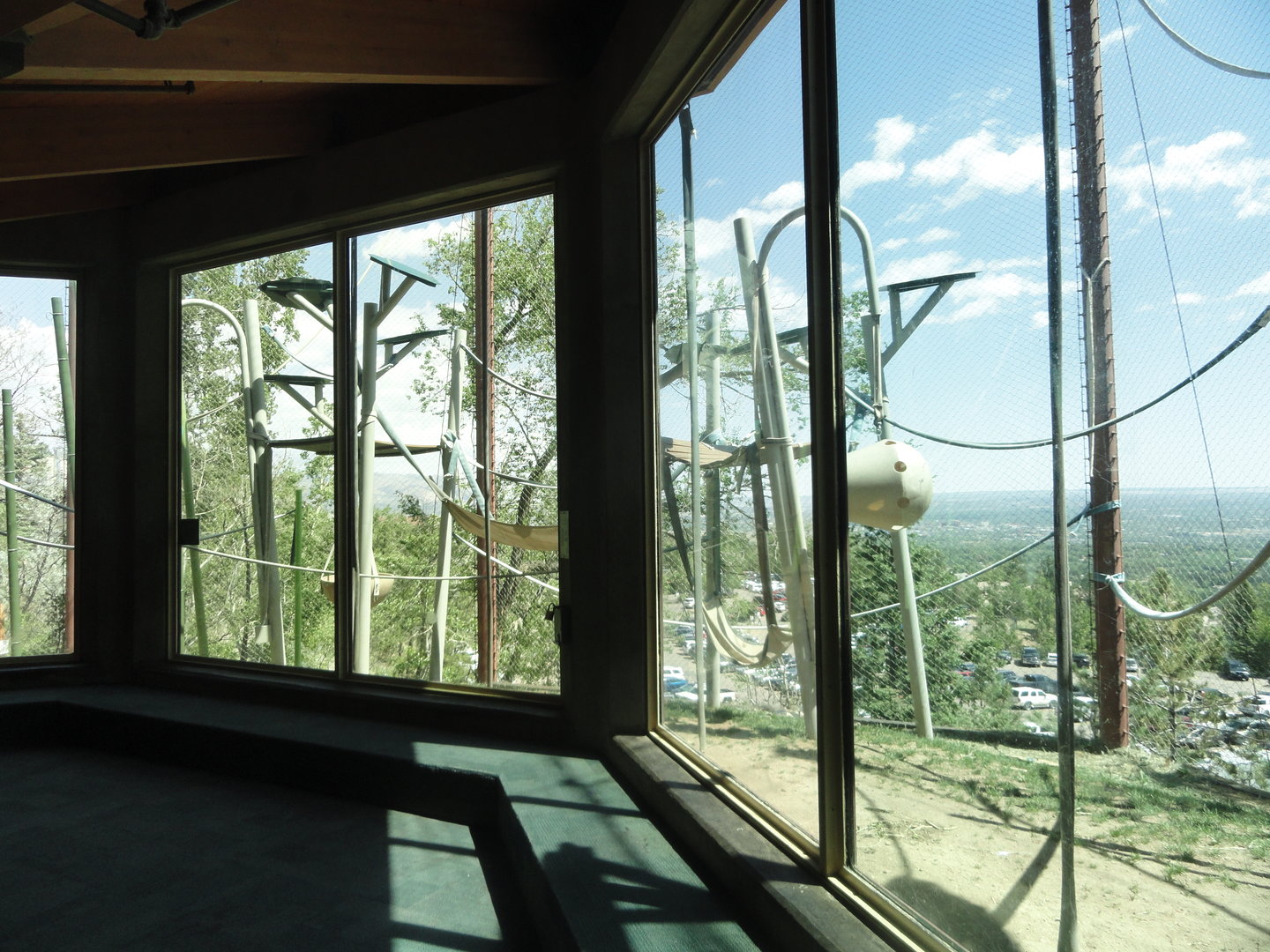 Sumatran Orangutan Outdoor Exhibit