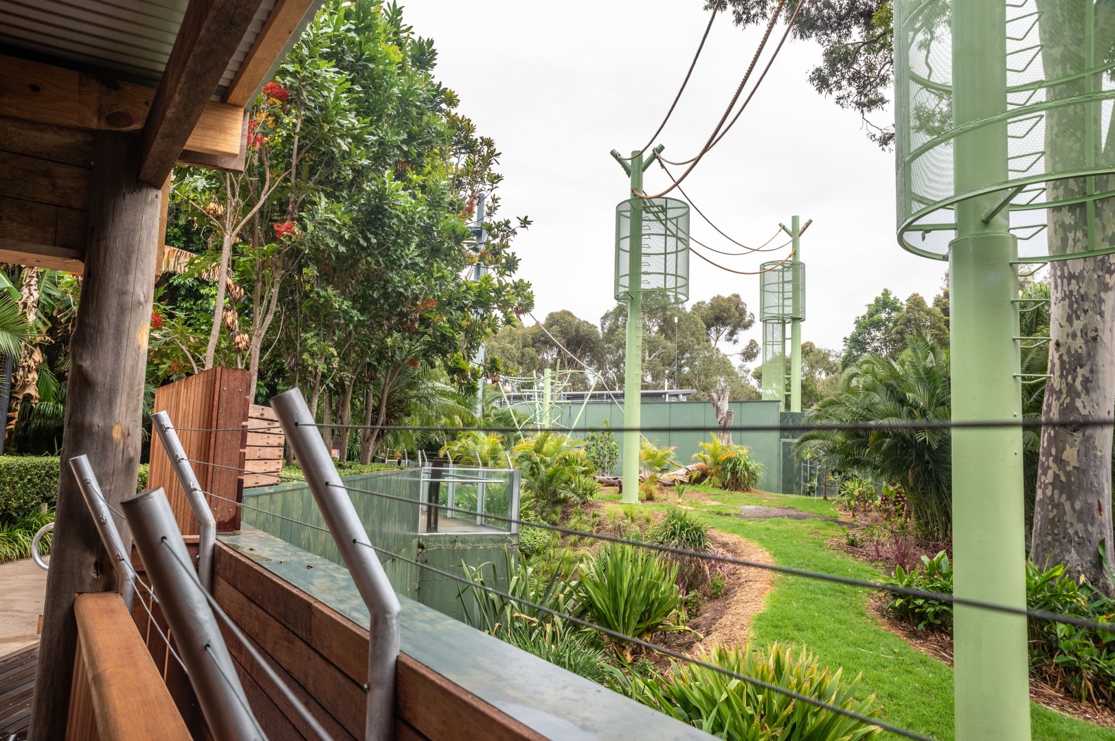 Sumatran Orangutan Redevelopment