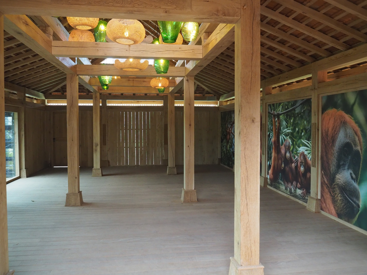 Sumatran orangutan viewing area, 2022-07-16